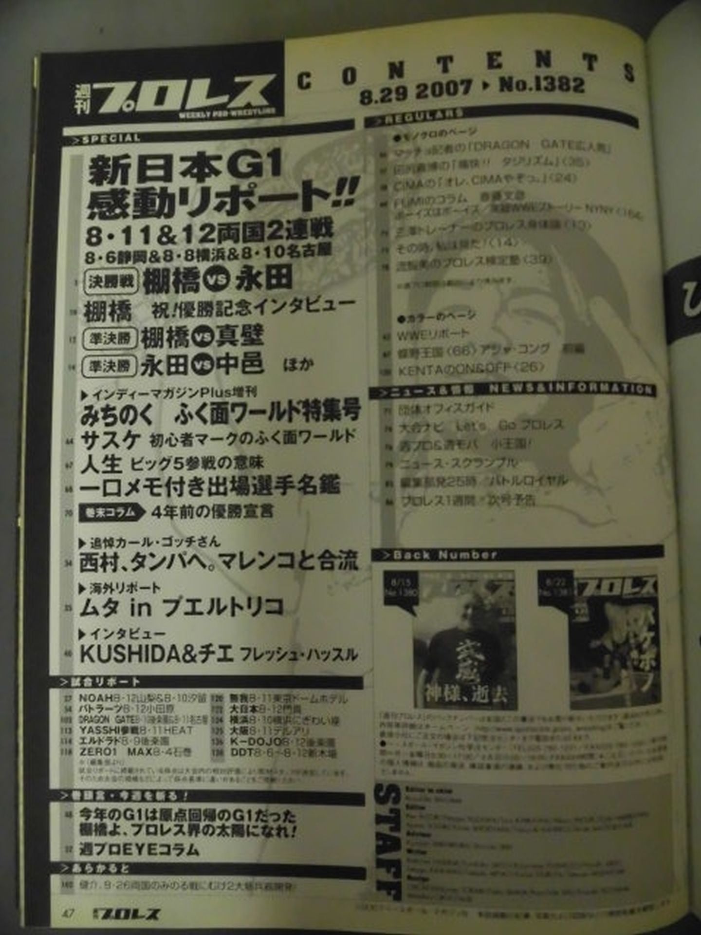 Weekly Pro Wrestling 1382