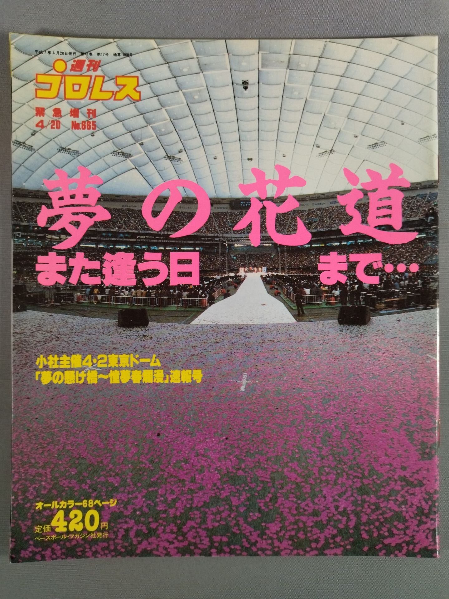 Weekly Pro Wrestling 665