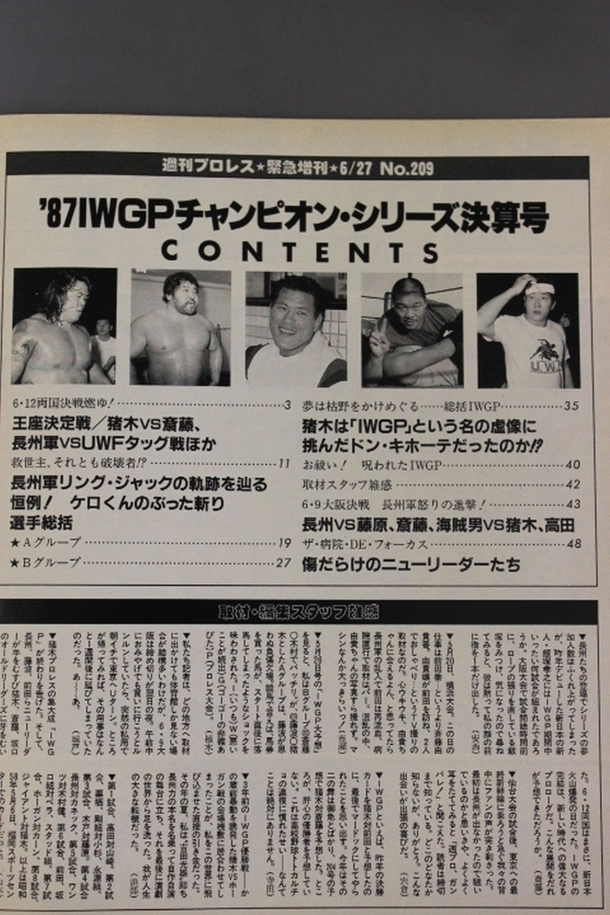 Weekly Pro Wrestling 209