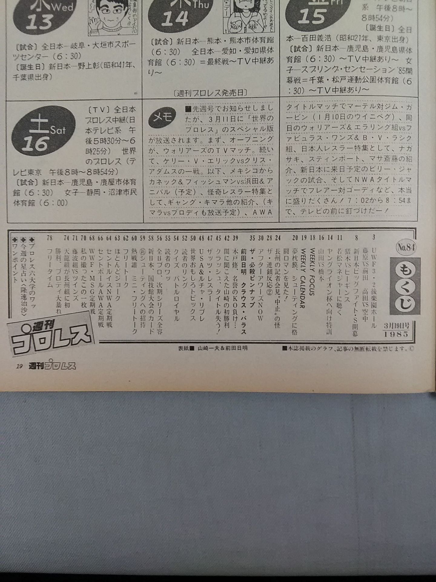 Weekly Pro Wrestling 84