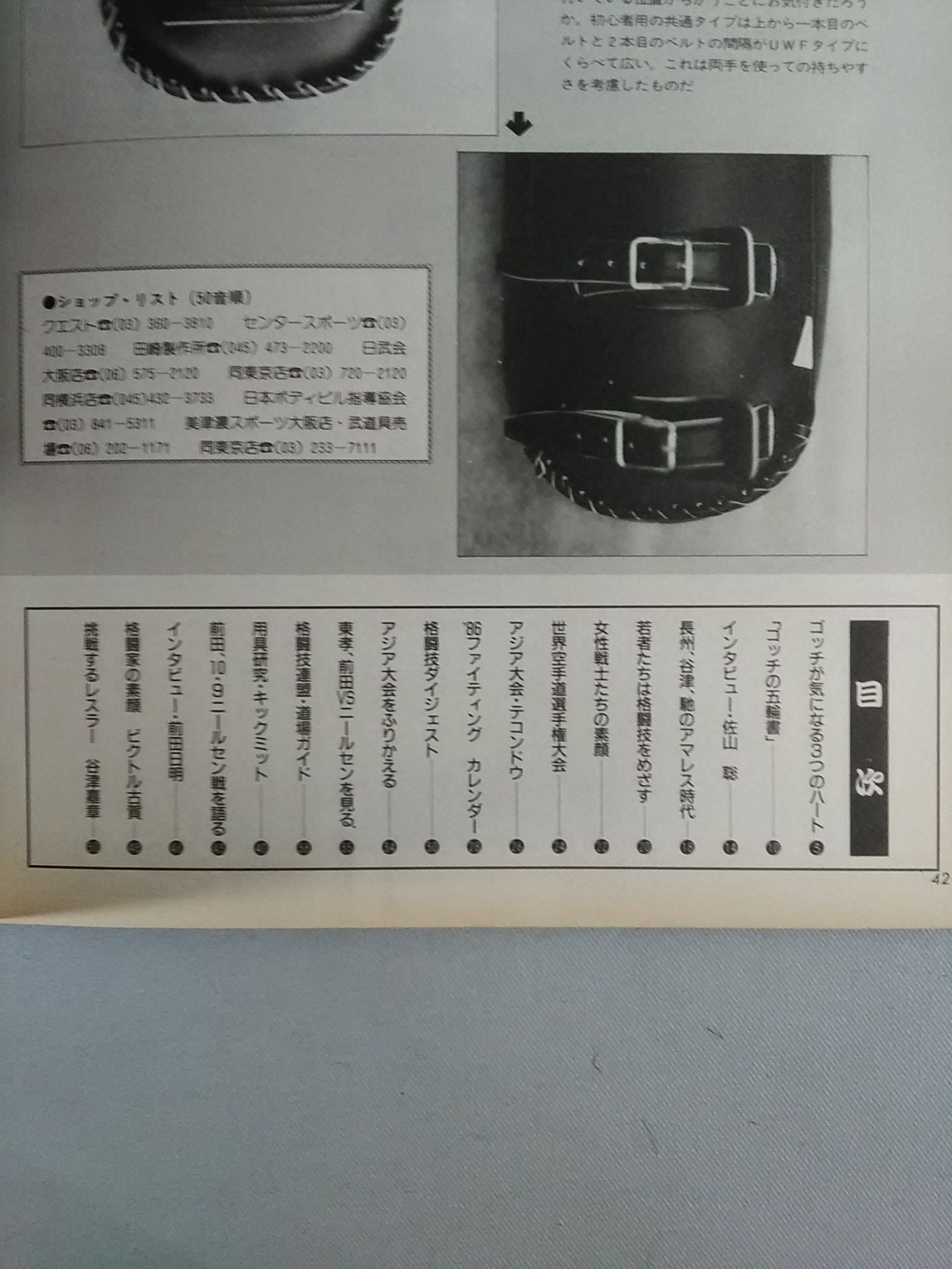 格闘技通信1(週刊プロレス171)