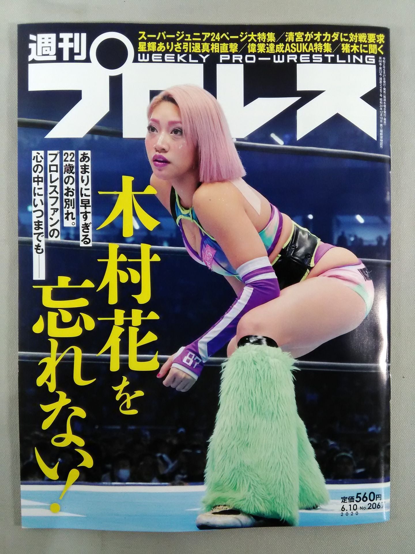 Weekly Pro Wrestling 2067