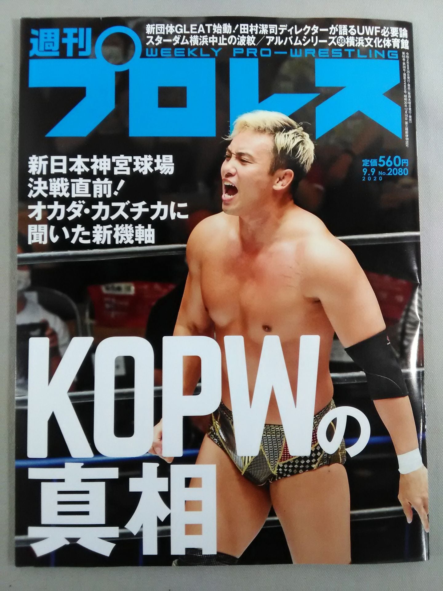 Weekly Pro Wrestling 2080