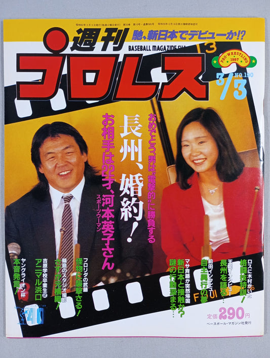 Weekly Pro Wrestling 190