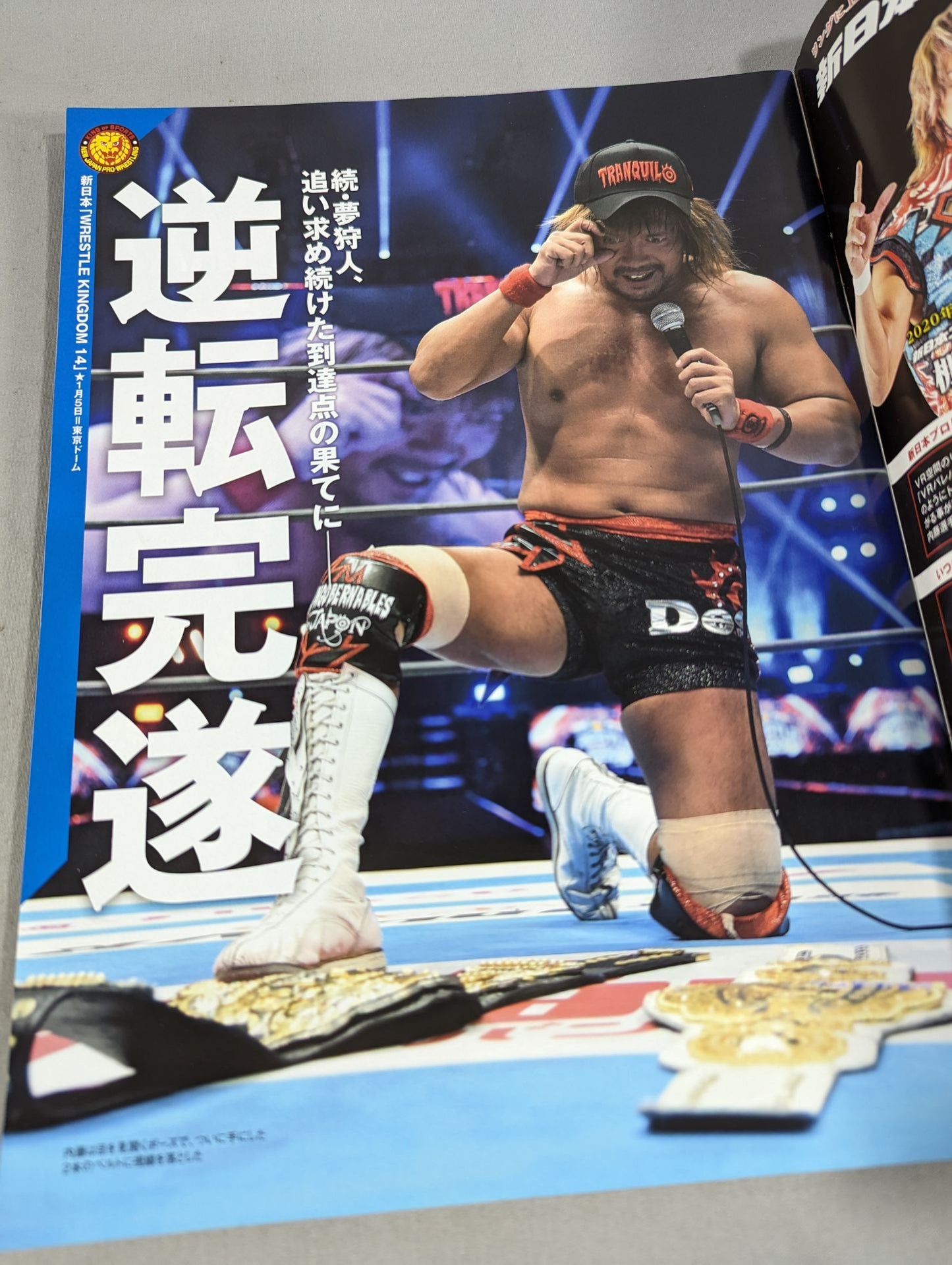 Weekly Pro Wrestling 2048