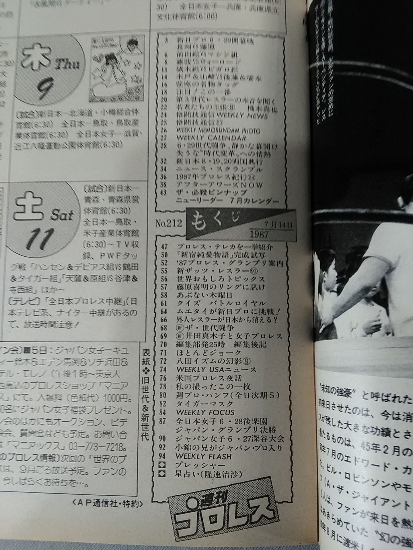 Weekly Pro Wrestling 212