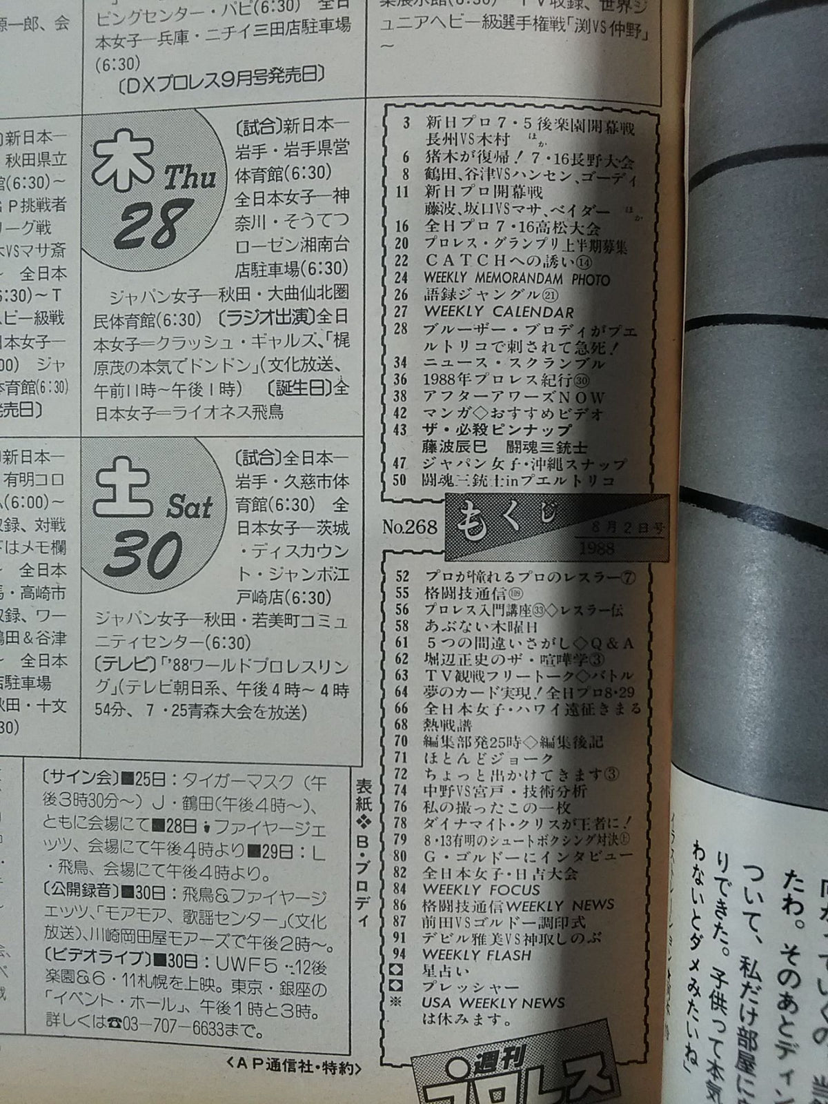 Weekly Pro Wrestling 268