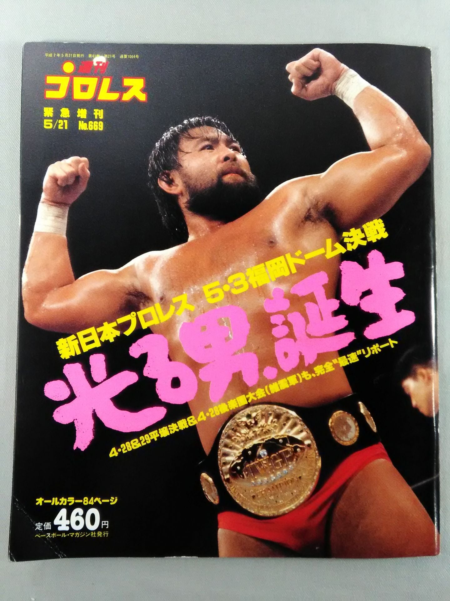 Weekly Pro Wrestling 669