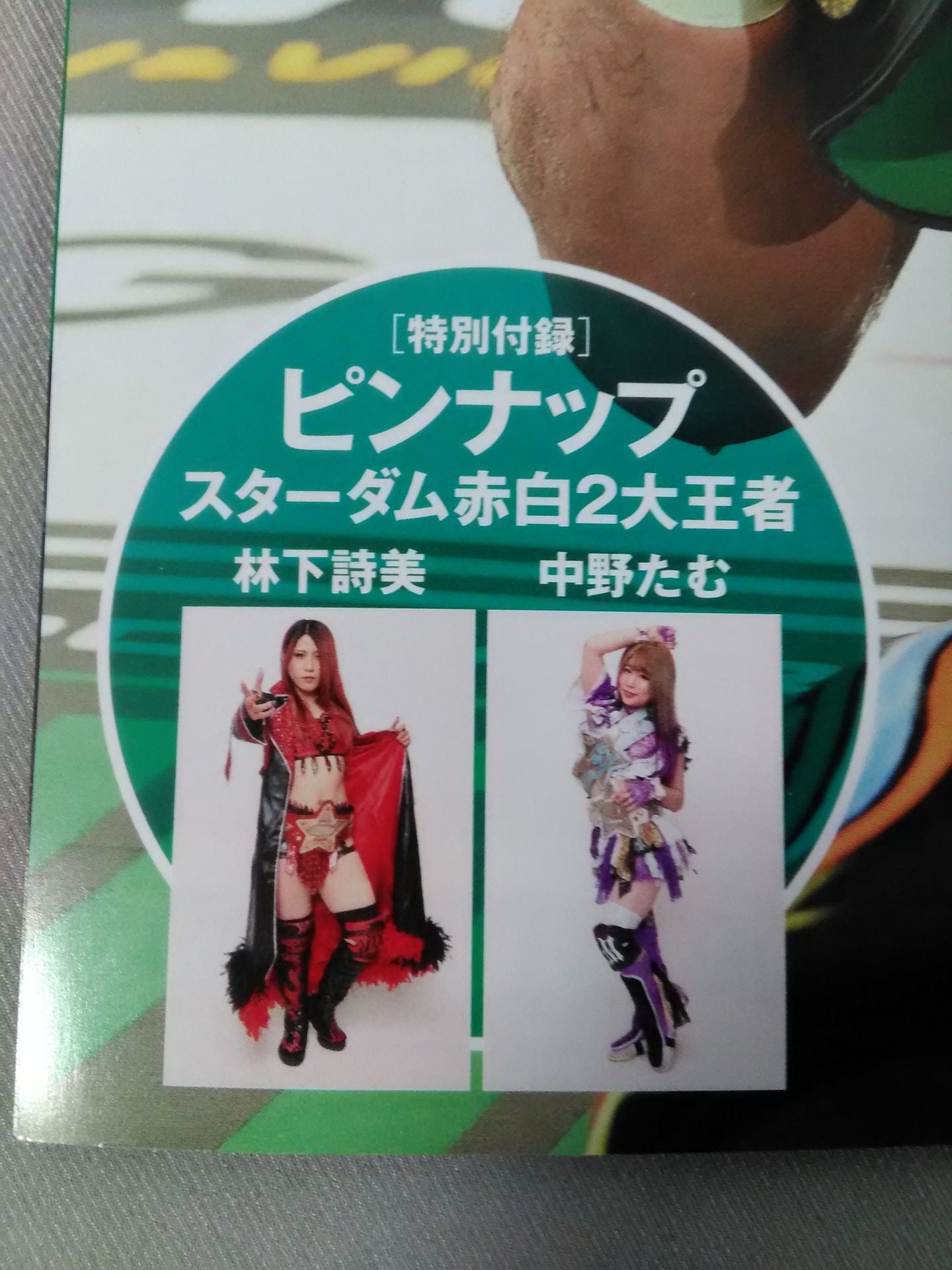 Weekly Pro Wrestling 2114