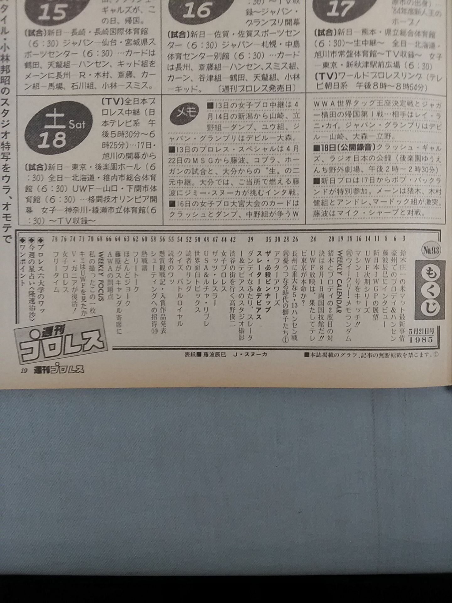 Weekly Pro Wrestling 93