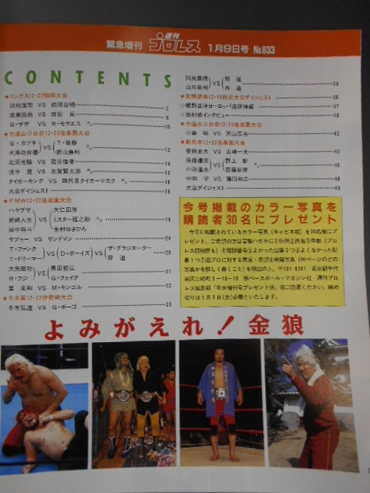 Weekly Pro Wrestling 833