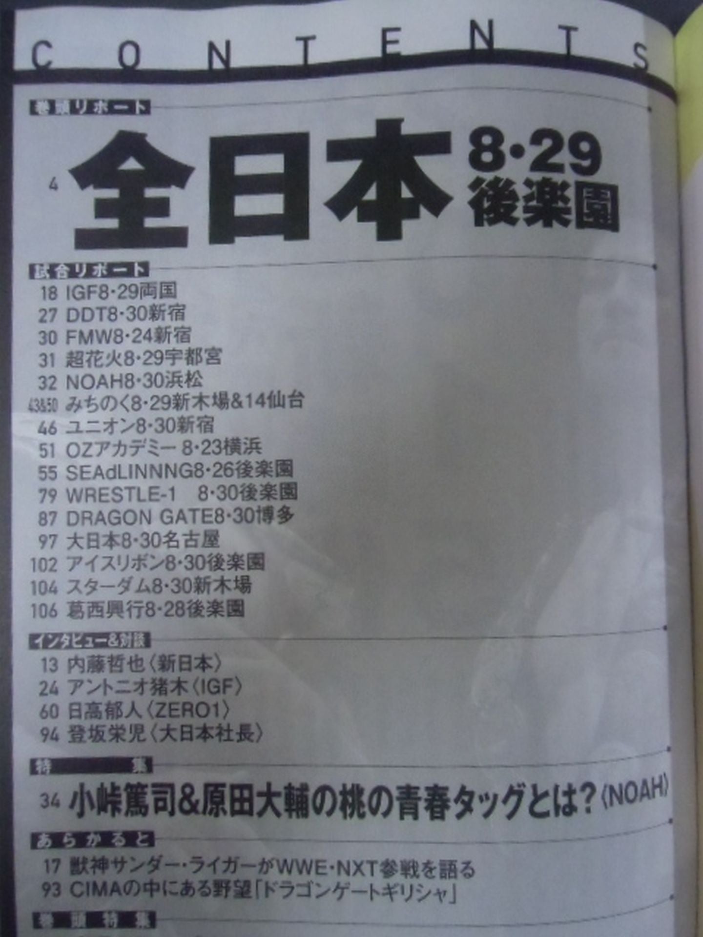 Weekly Pro Wrestling 1810