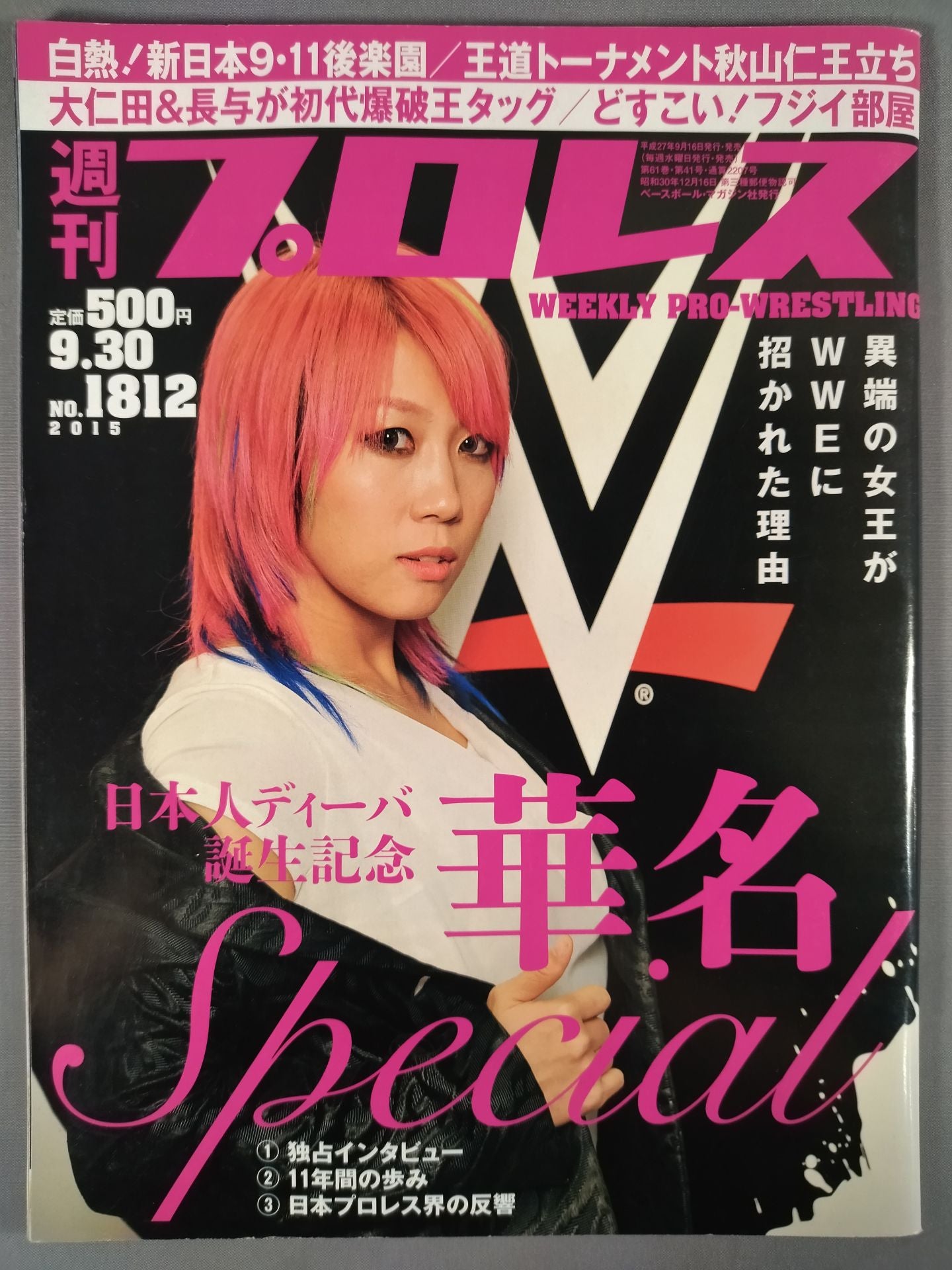 Weekly Pro Wrestling 1812