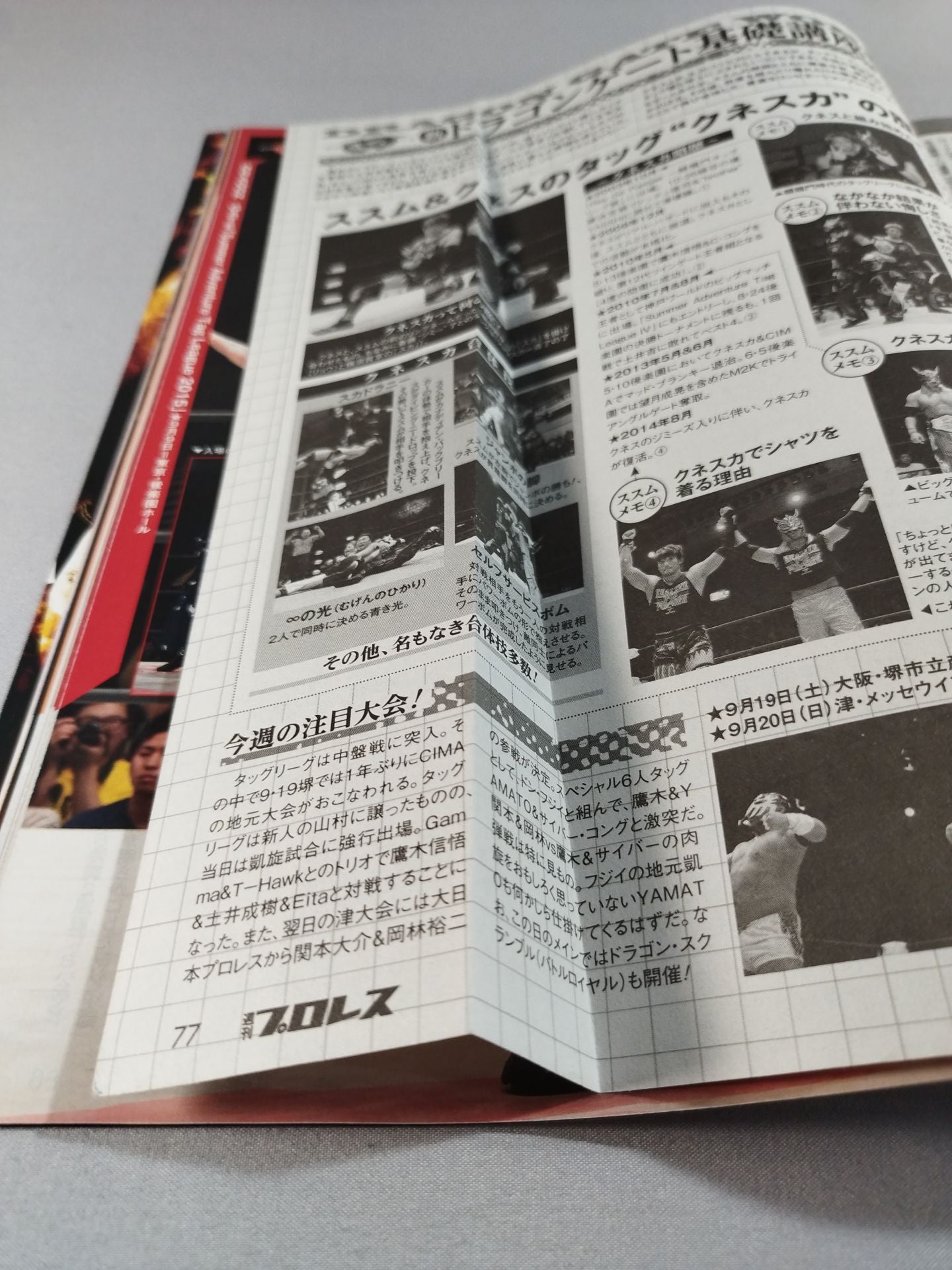 Weekly Pro Wrestling 1812