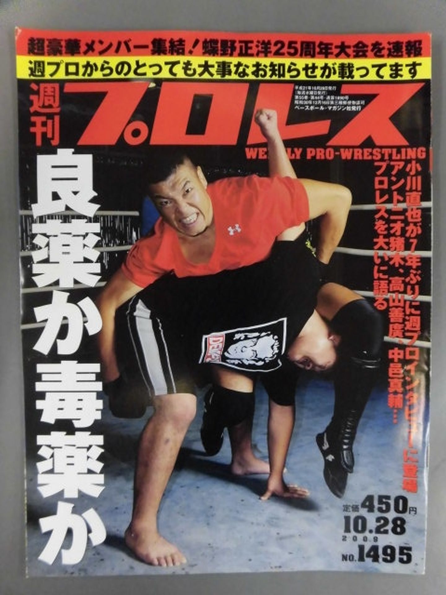 Weekly Pro Wrestling 1495