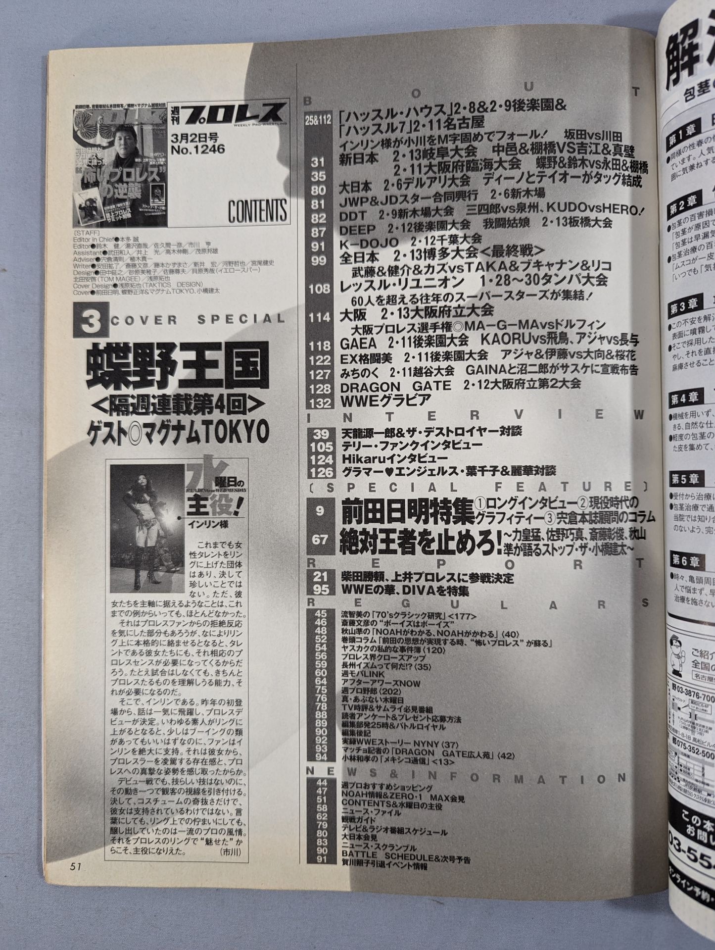 Weekly Pro Wrestling 1246