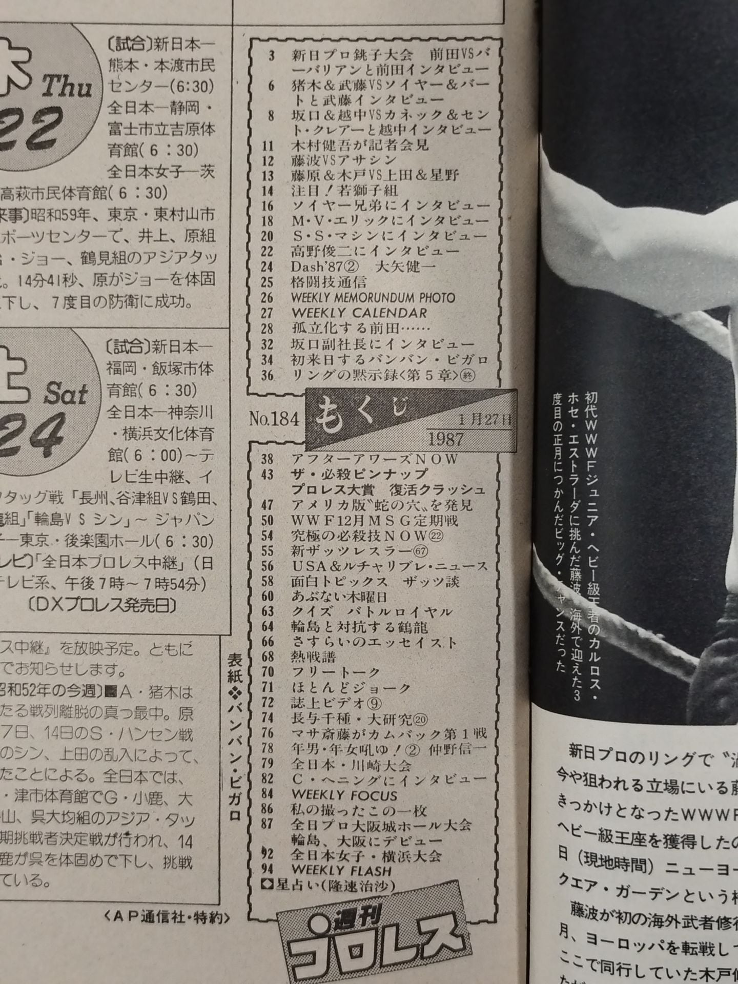 Weekly Pro Wrestling 184