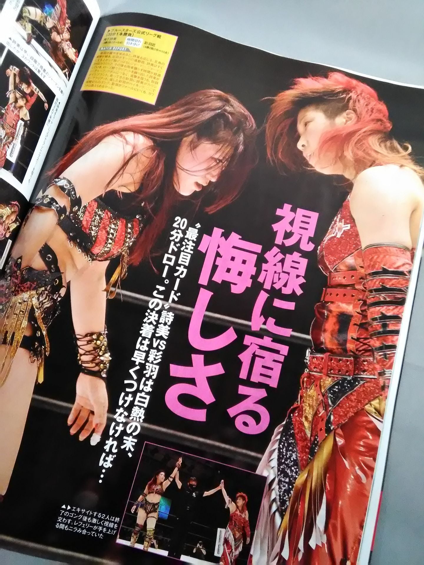 Weekly Pro Wrestling 2142