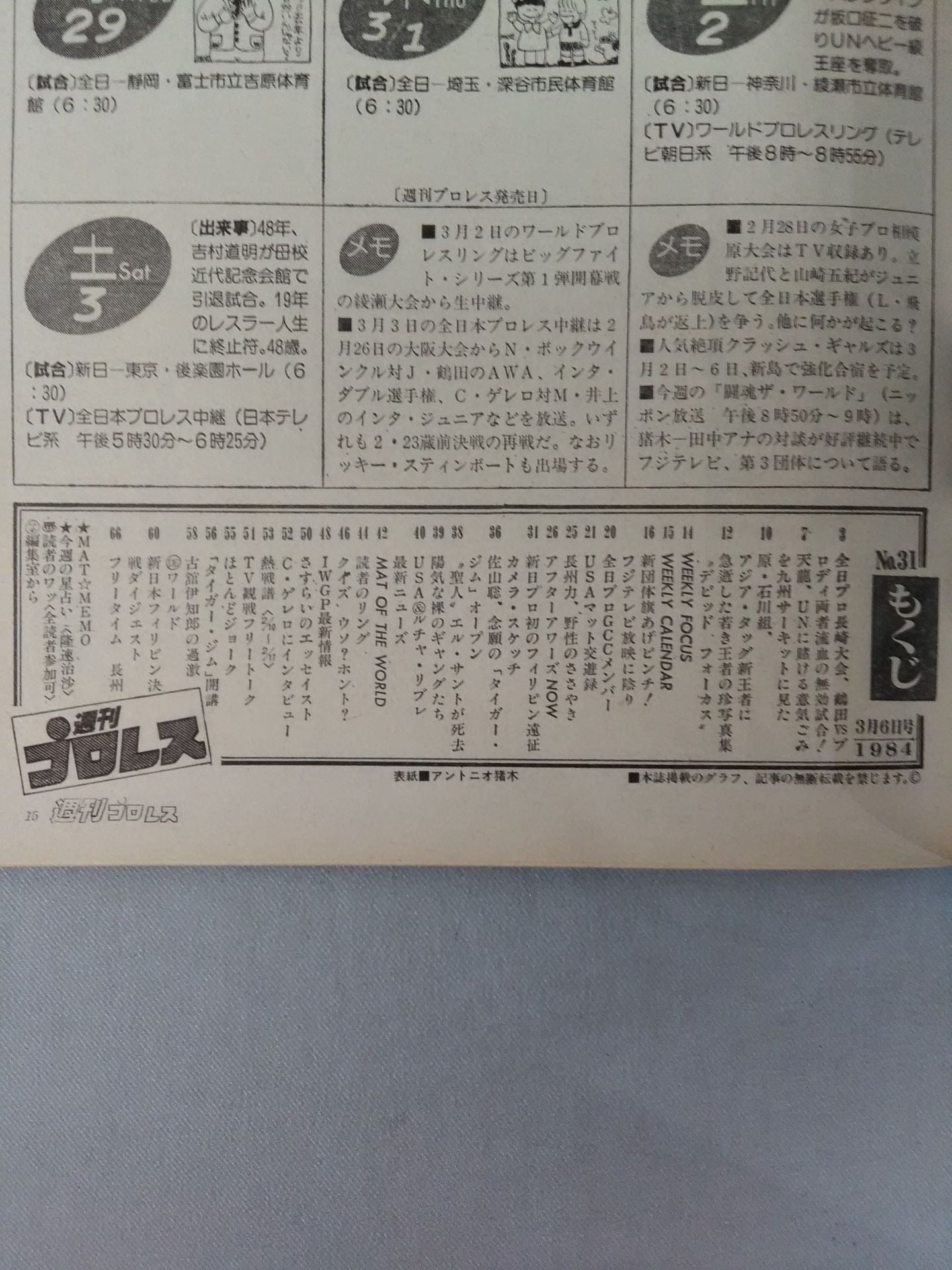 Weekly Pro Wrestling 31