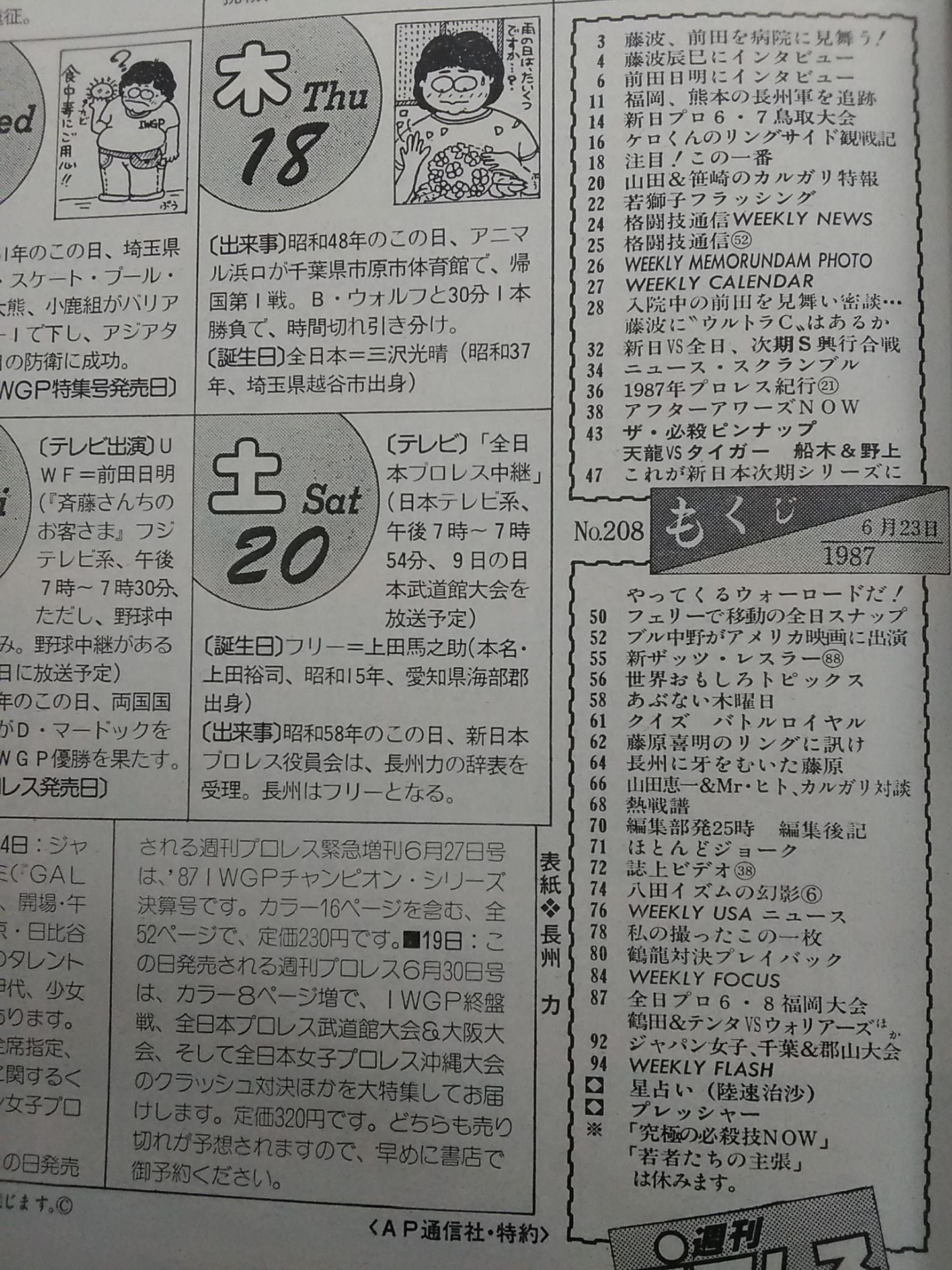 Weekly Pro Wrestling 208