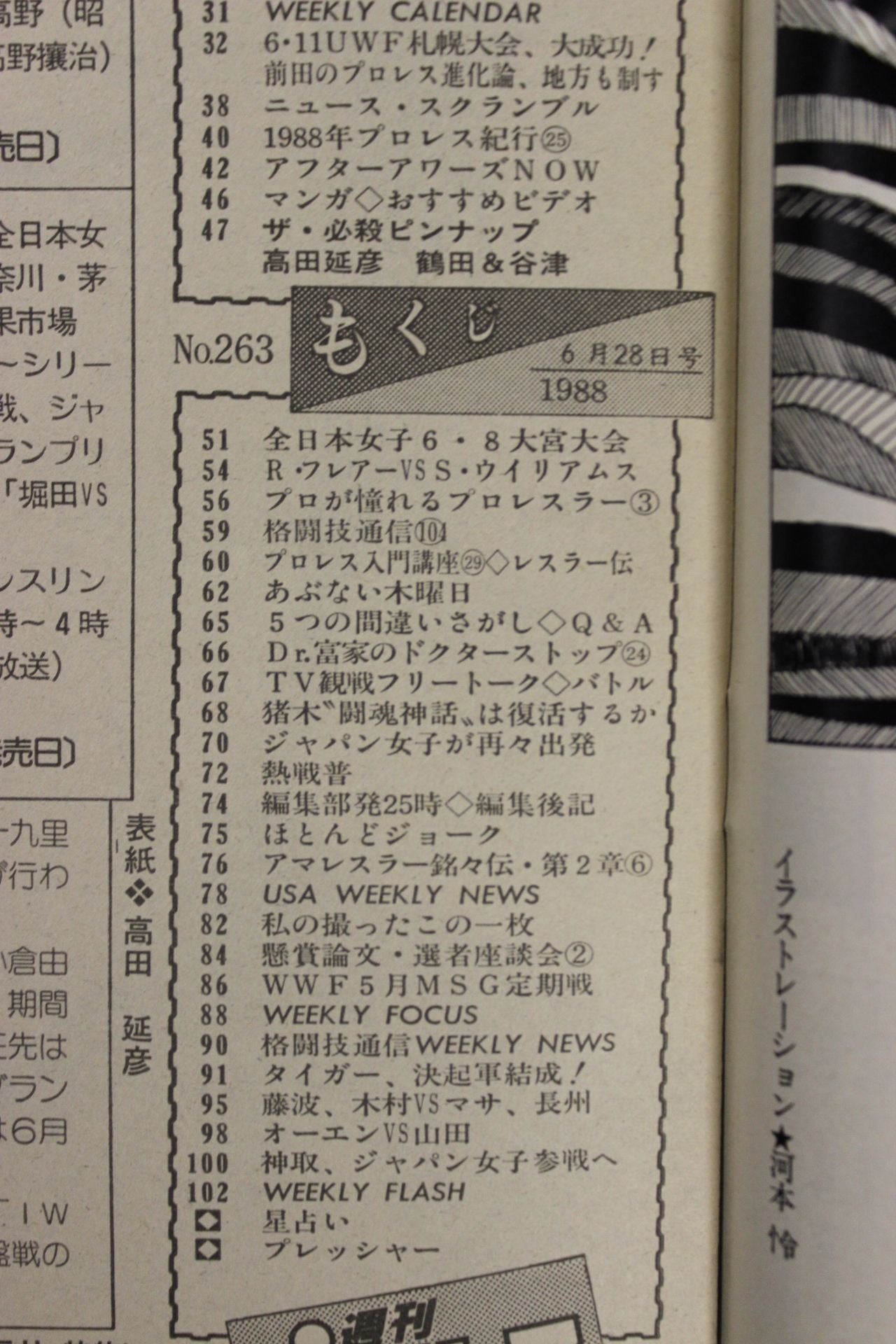 Weekly Pro Wrestling 263