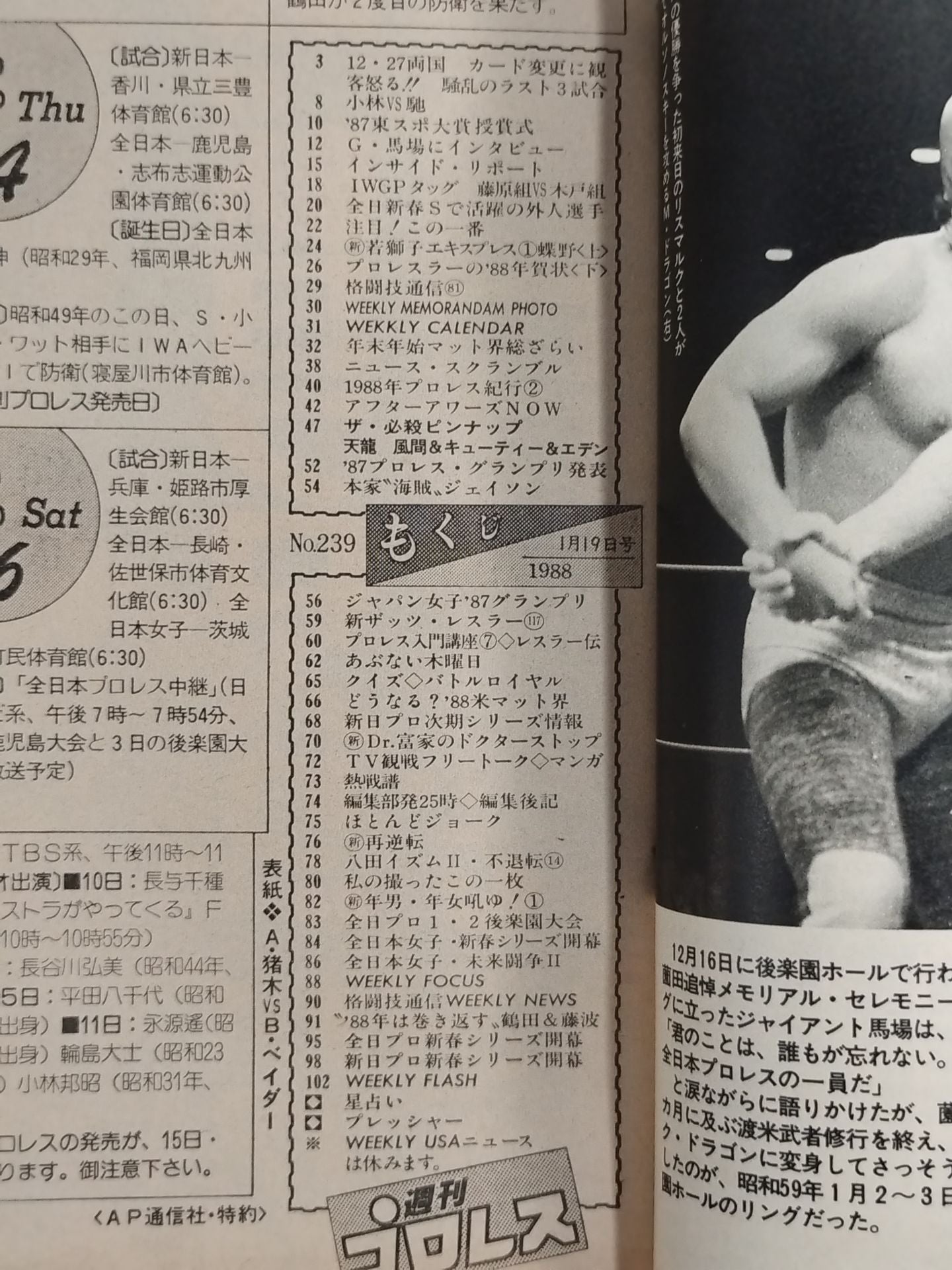 Weekly Pro Wrestling 239