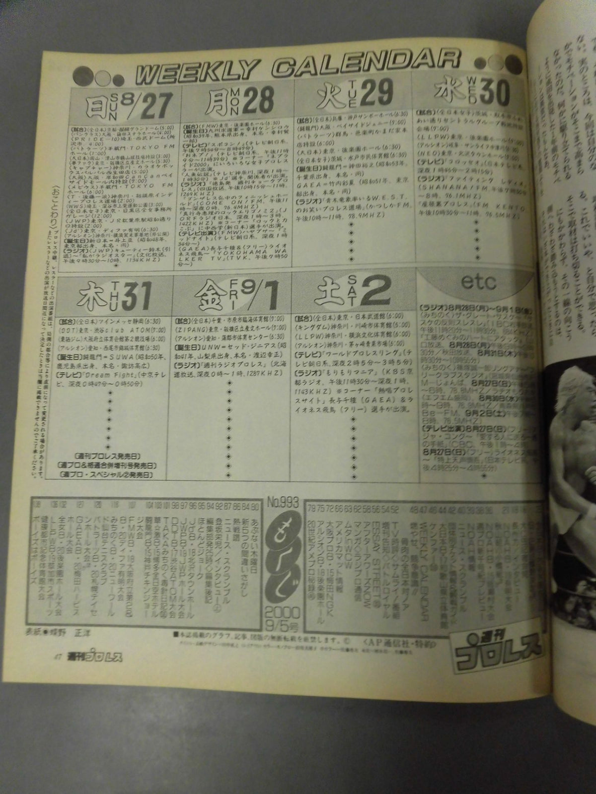 Weekly Pro Wrestling 993