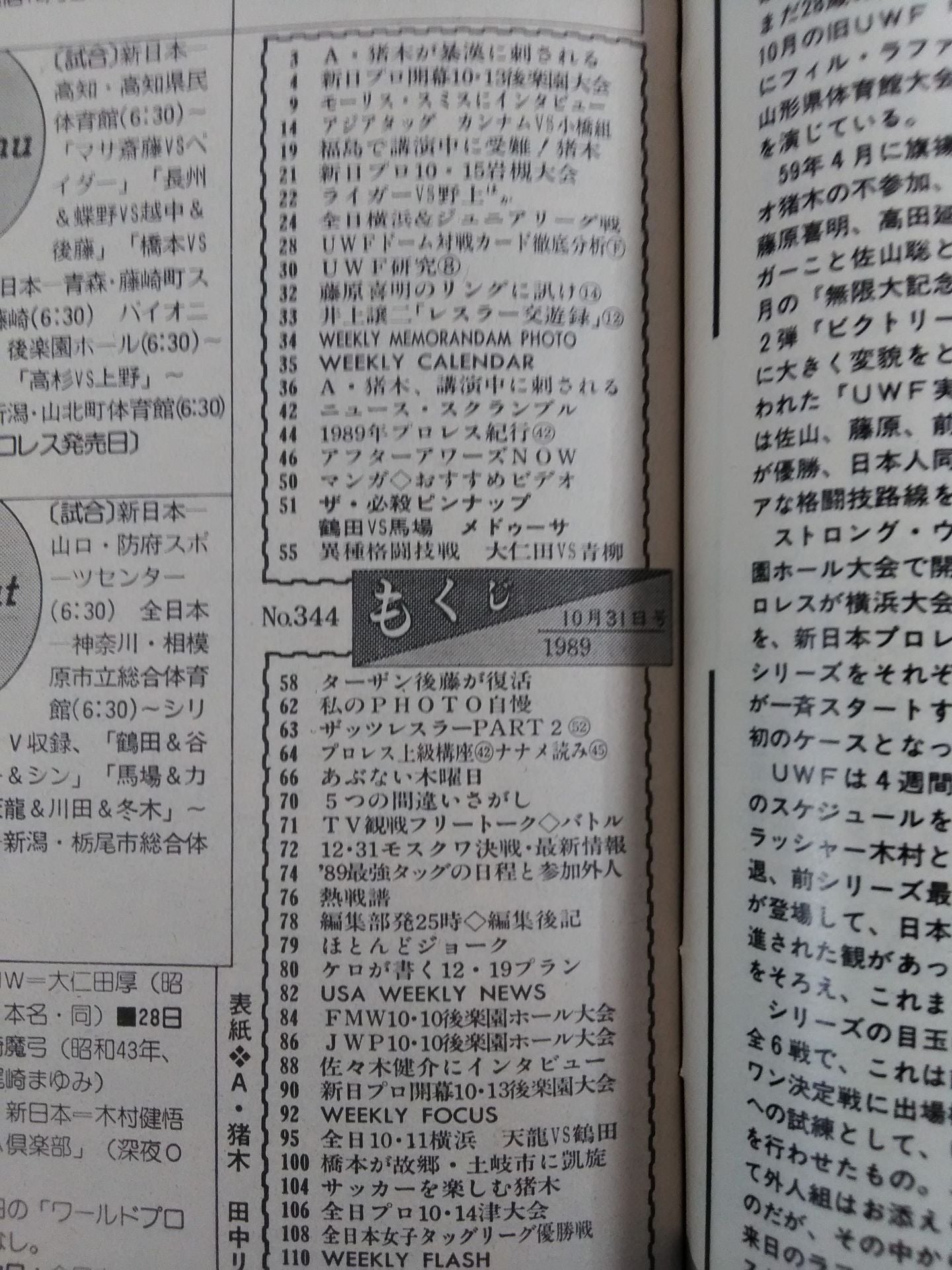 Weekly Pro Wrestling 344