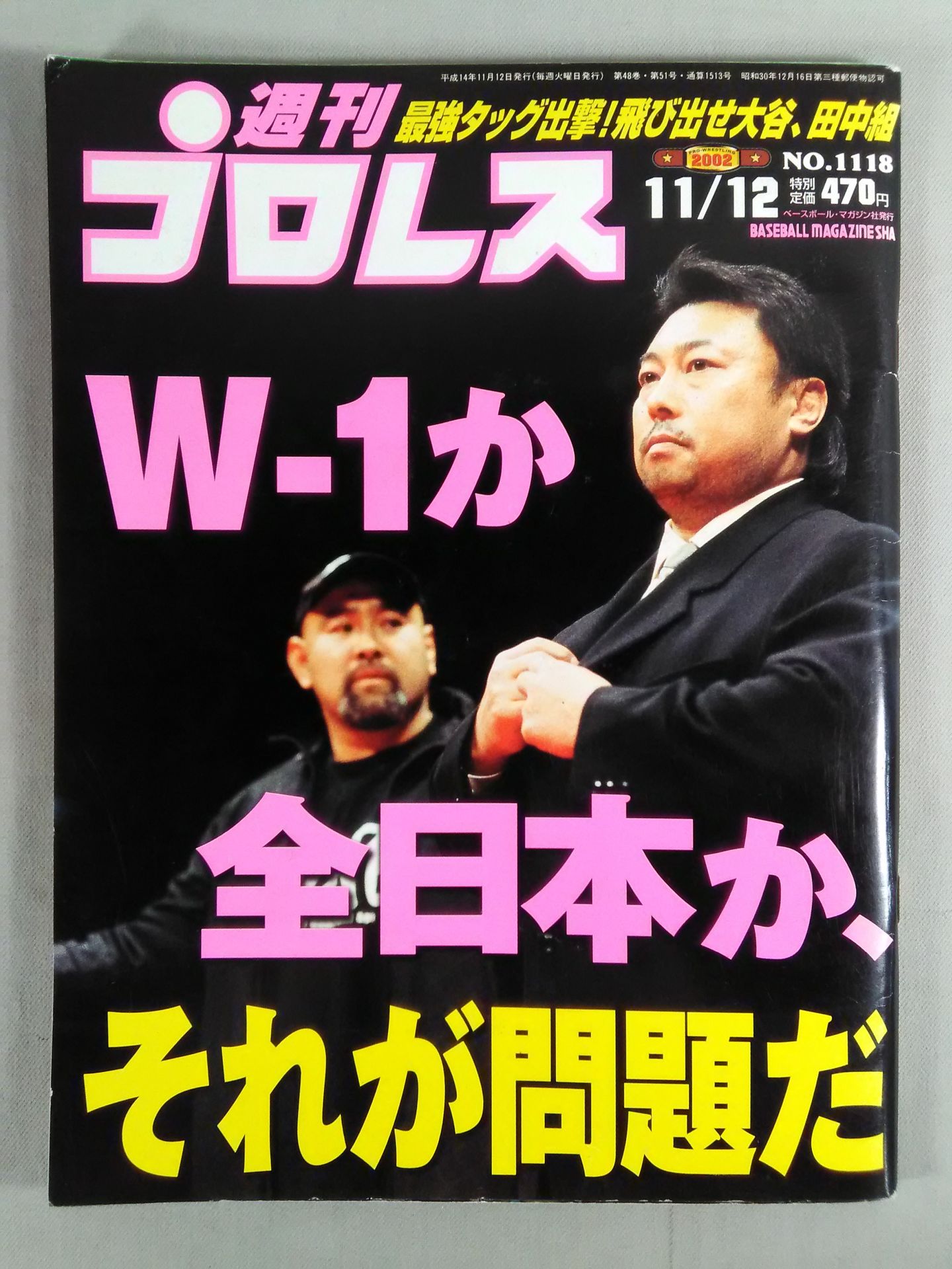 Weekly Pro Wrestling 1118