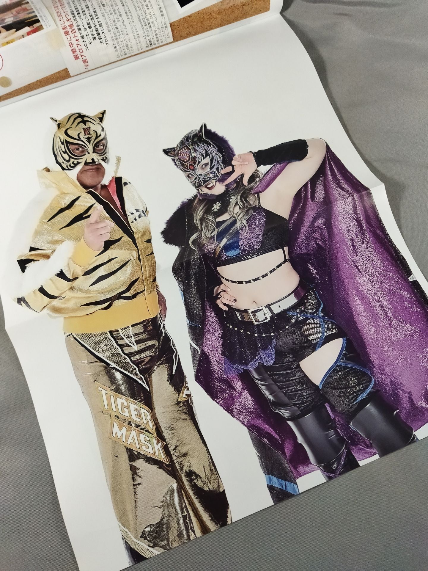 Weekly Pro Wrestling 2173