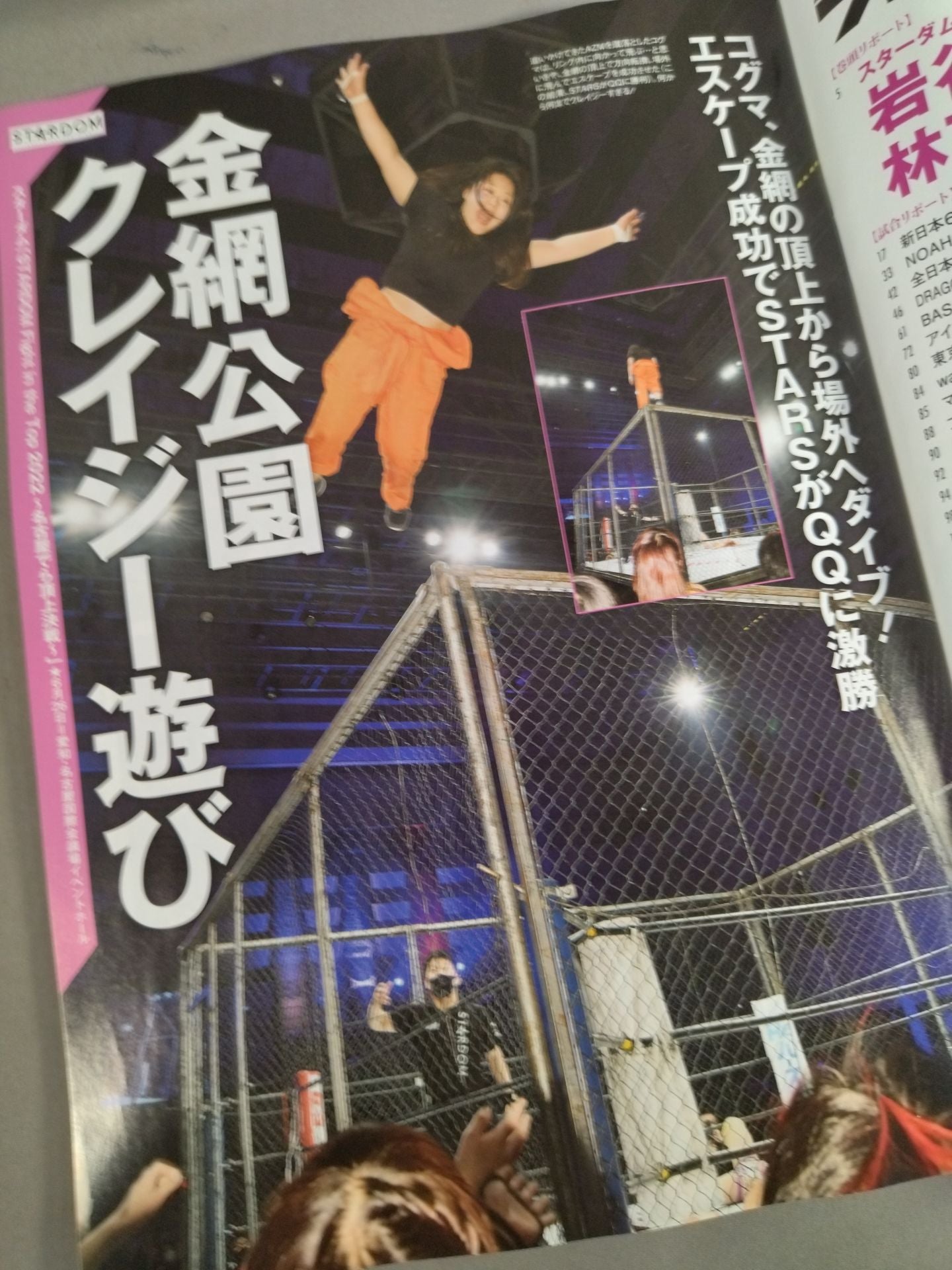 Weekly Pro Wrestling 2190