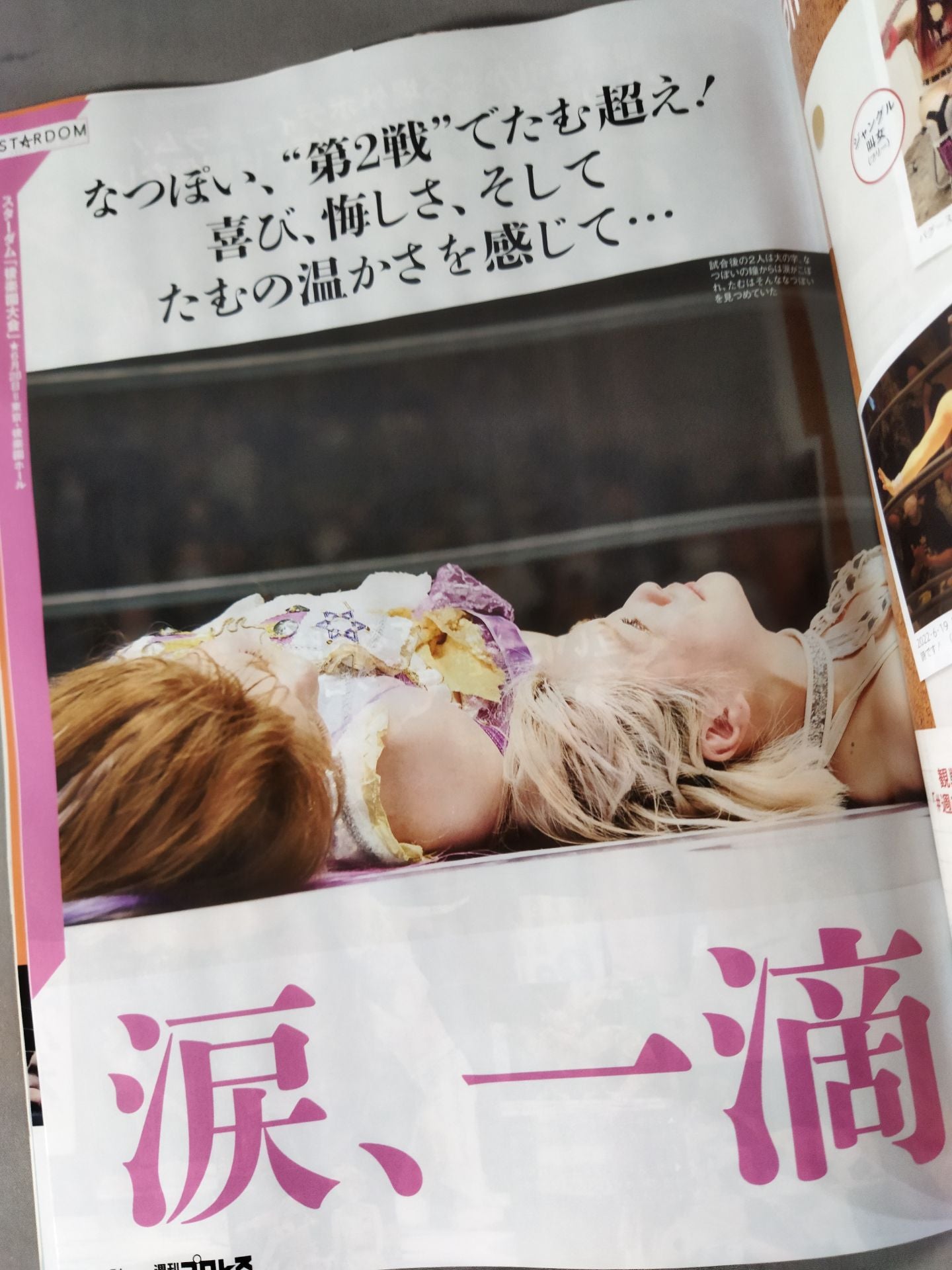 週刊プロレス2191