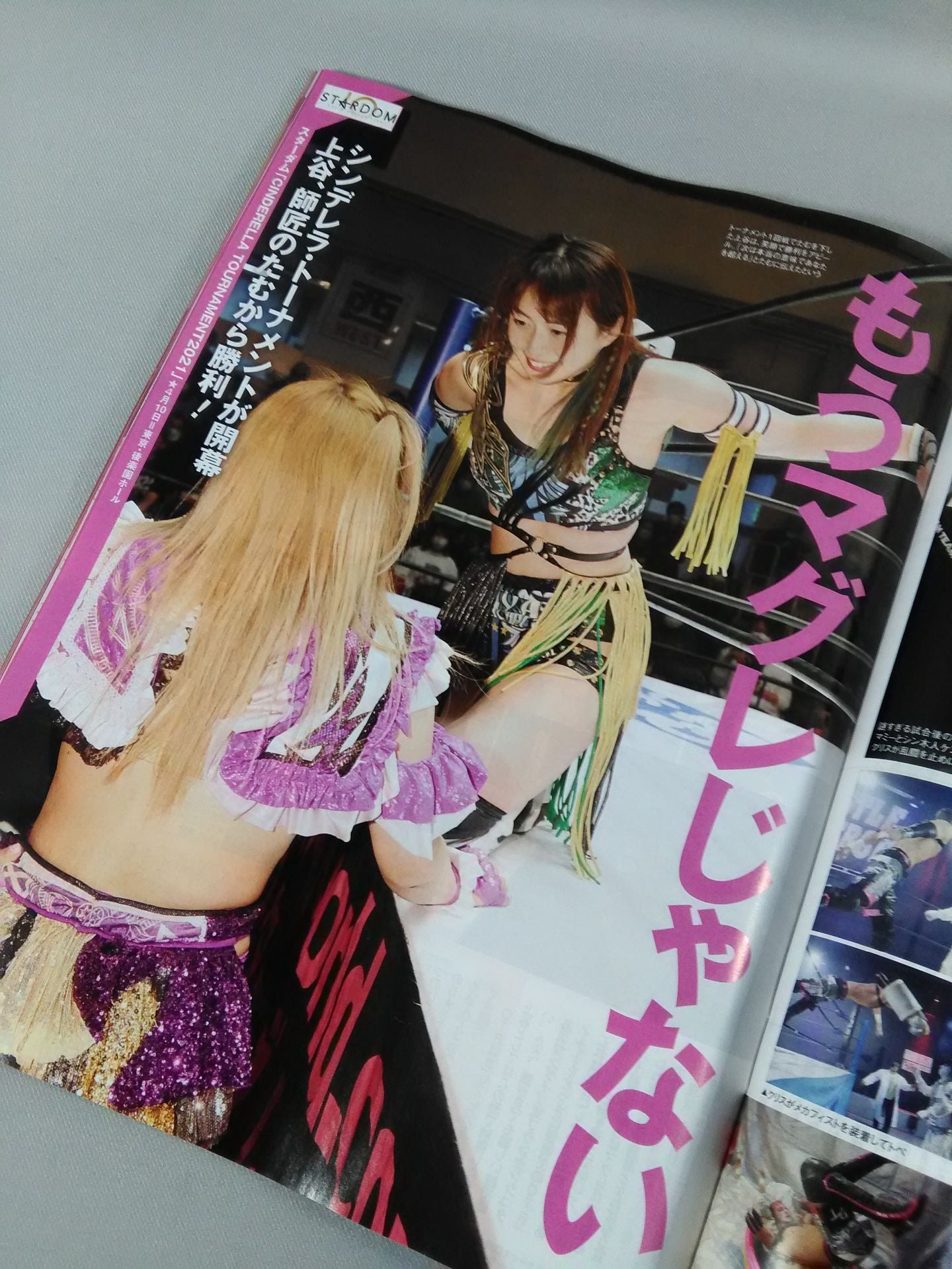 Weekly Pro Wrestling 2118