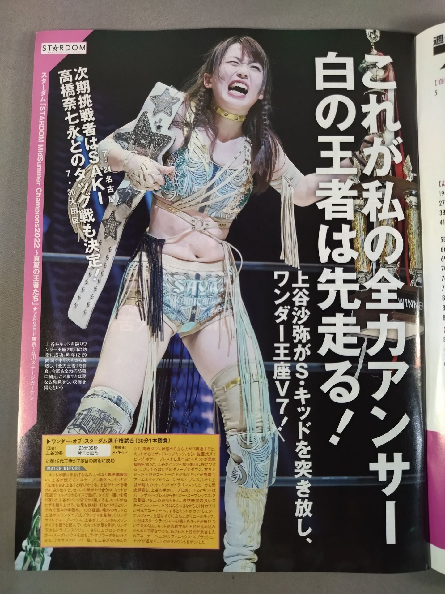 Weekly Pro Wrestling 2192