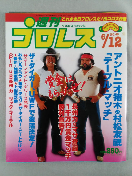 Weekly Pro Wrestling 45