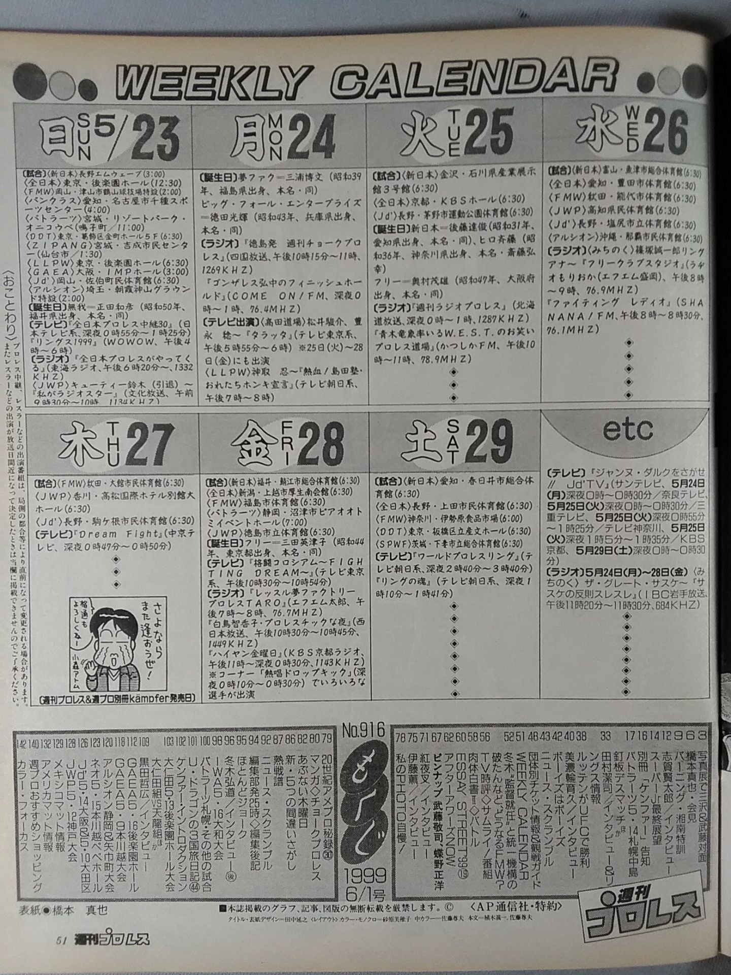 Weekly Pro Wrestling 916