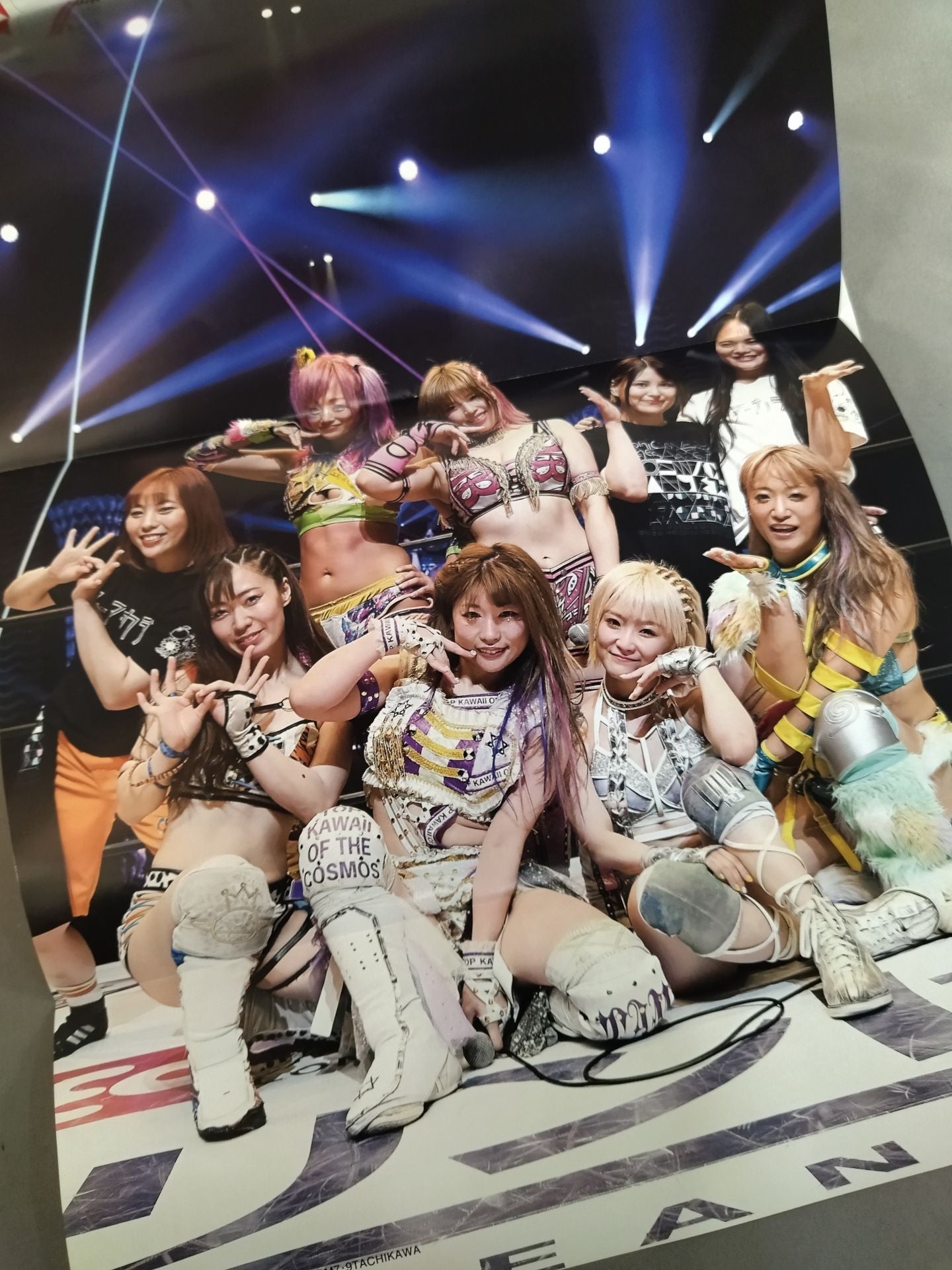 Weekly Pro Wrestling 2195