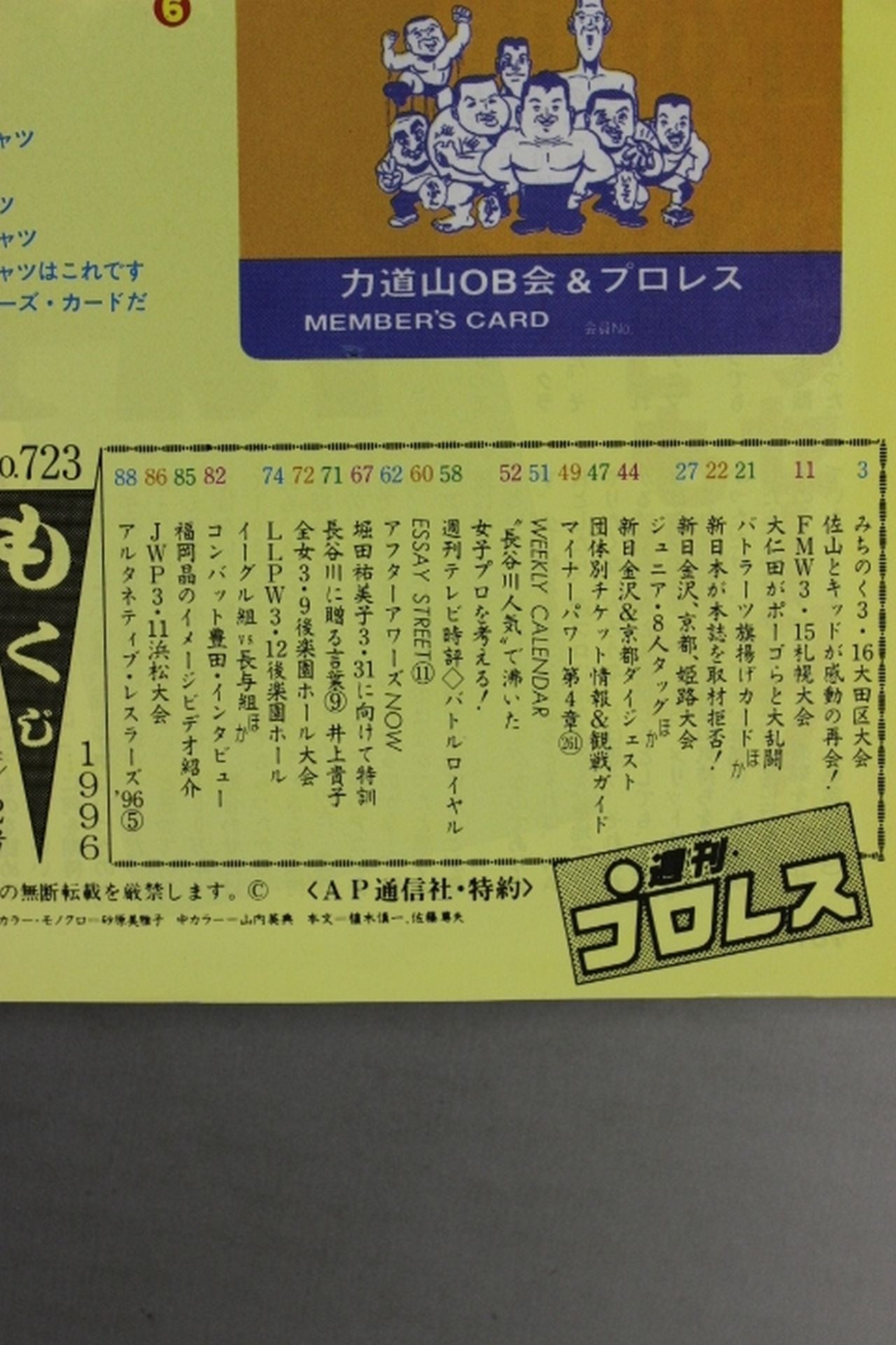 Weekly Pro Wrestling 723