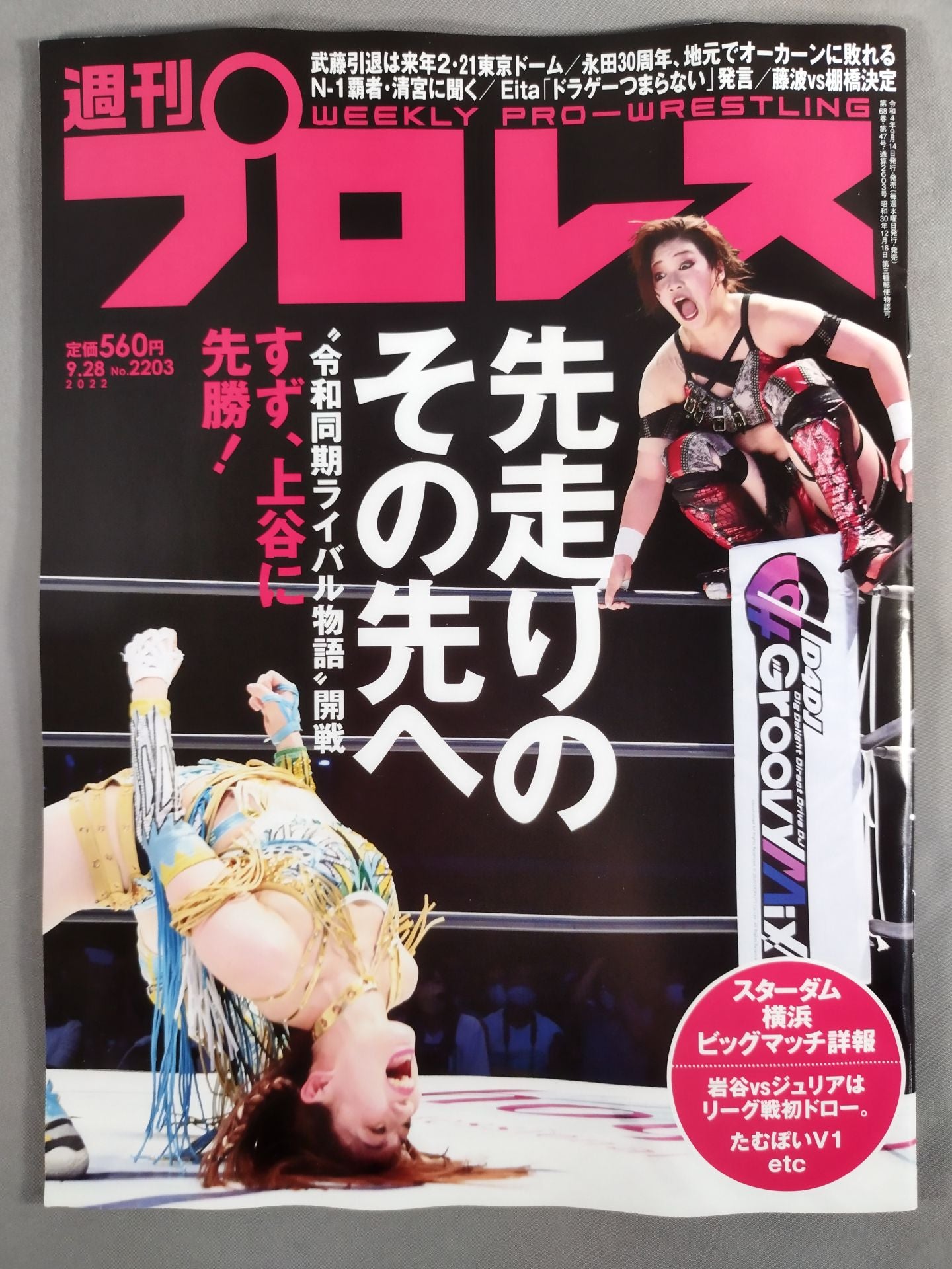 Weekly Pro Wrestling 2203