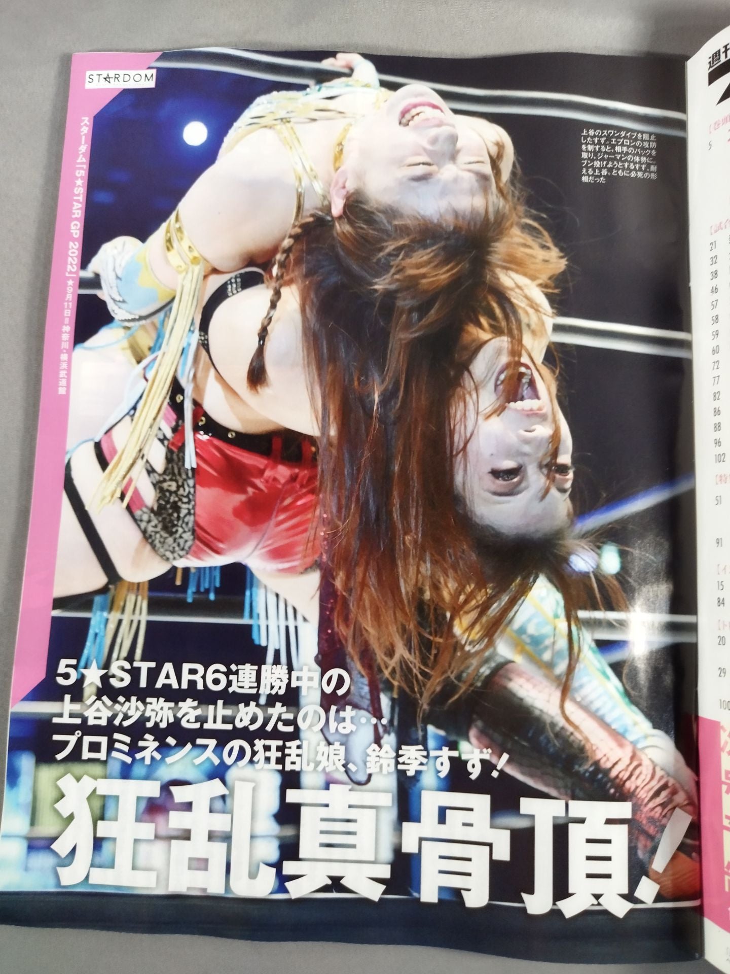 Weekly Pro Wrestling 2203