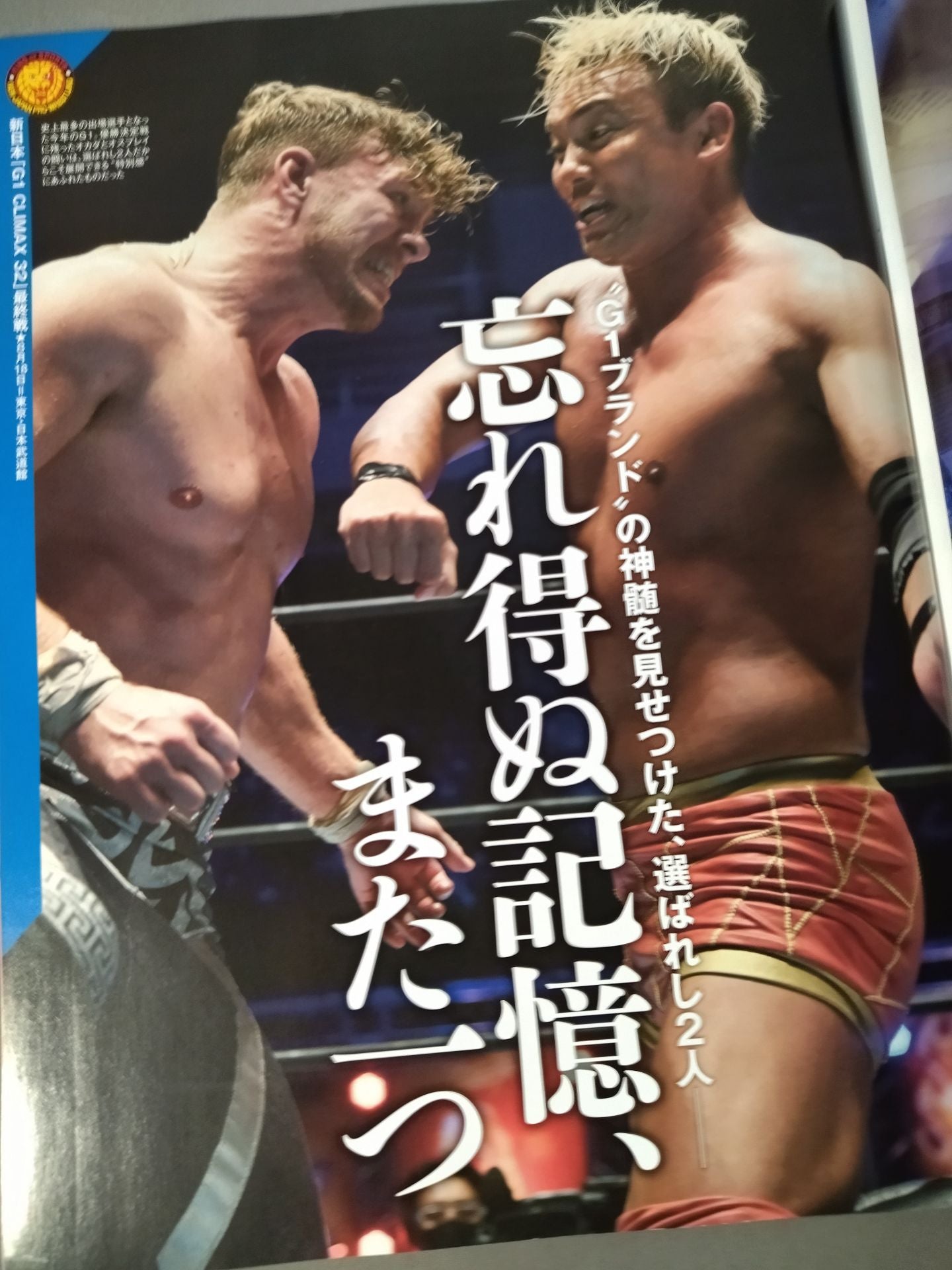 Weekly Pro Wrestling 2199