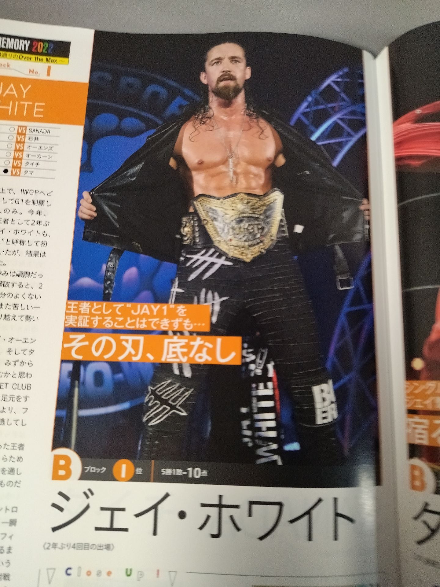 Weekly Pro Wrestling 2199
