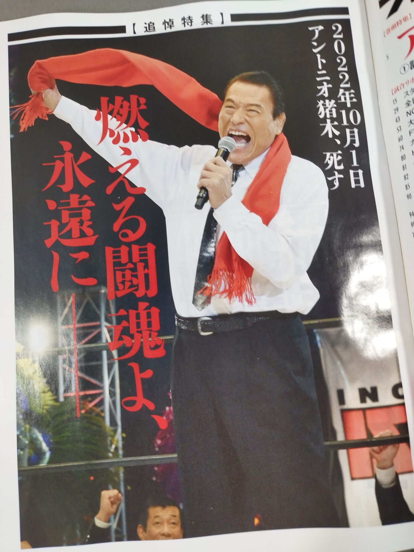 週刊プロレス2207