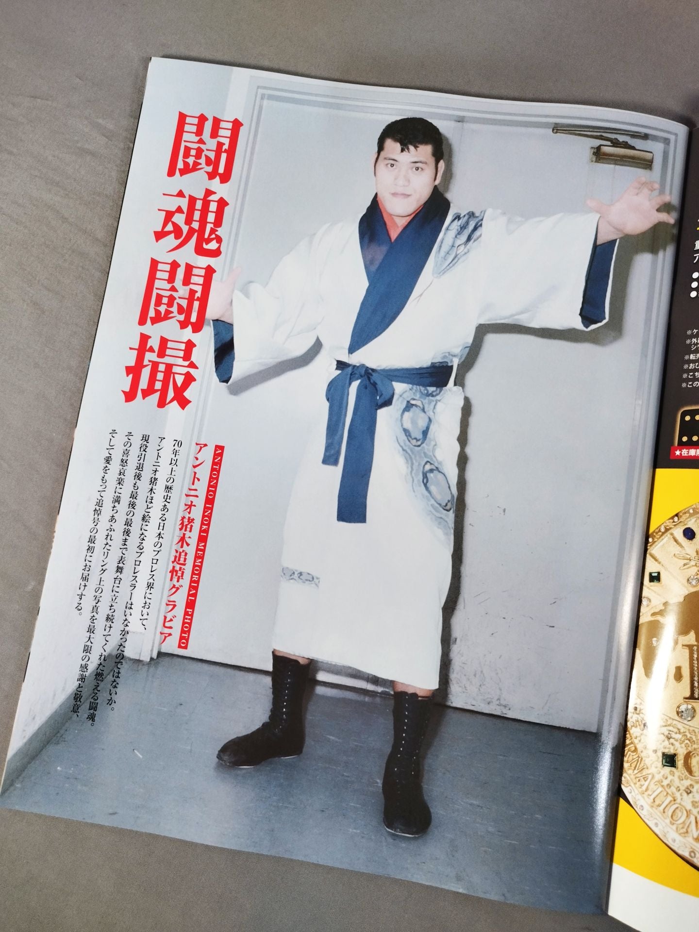 週刊プロレス2210