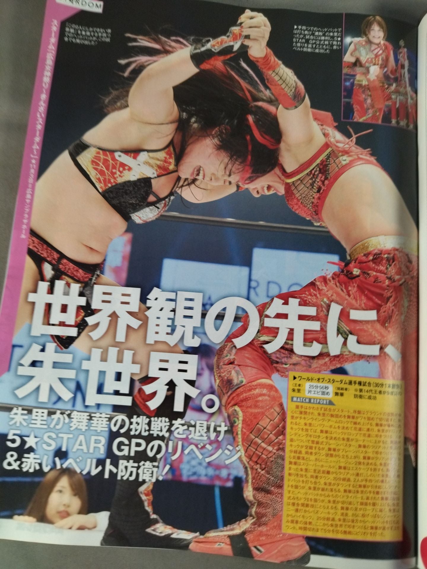 週刊プロレス2214
