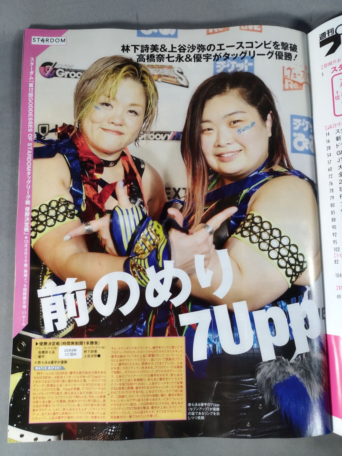 週刊プロレス2219