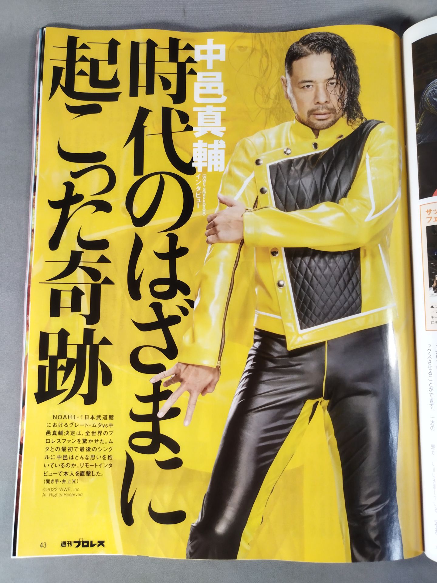 週刊プロレス2219