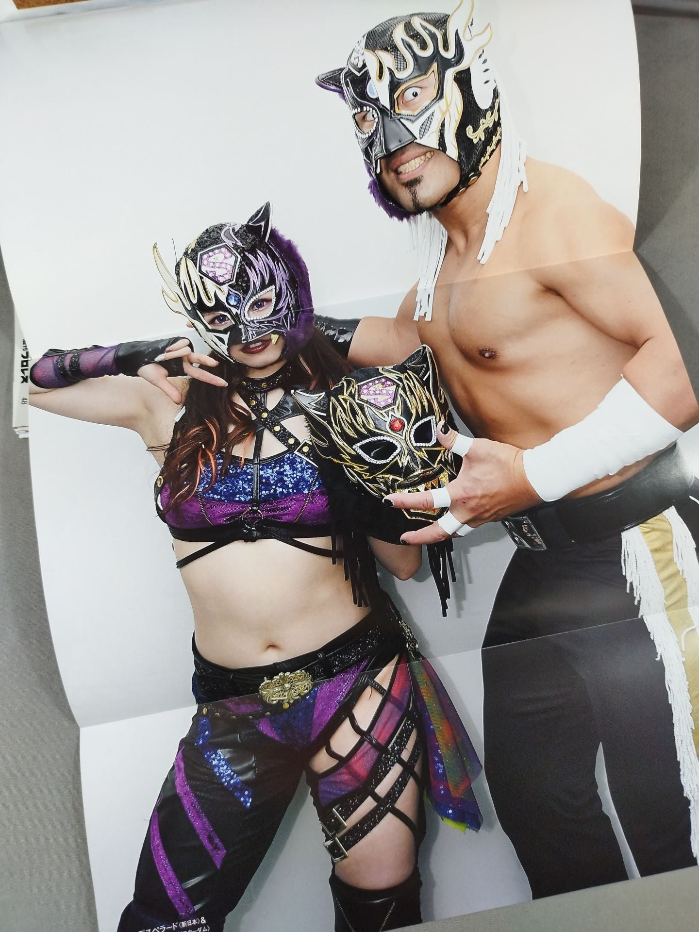 Weekly Pro Wrestling 2221
