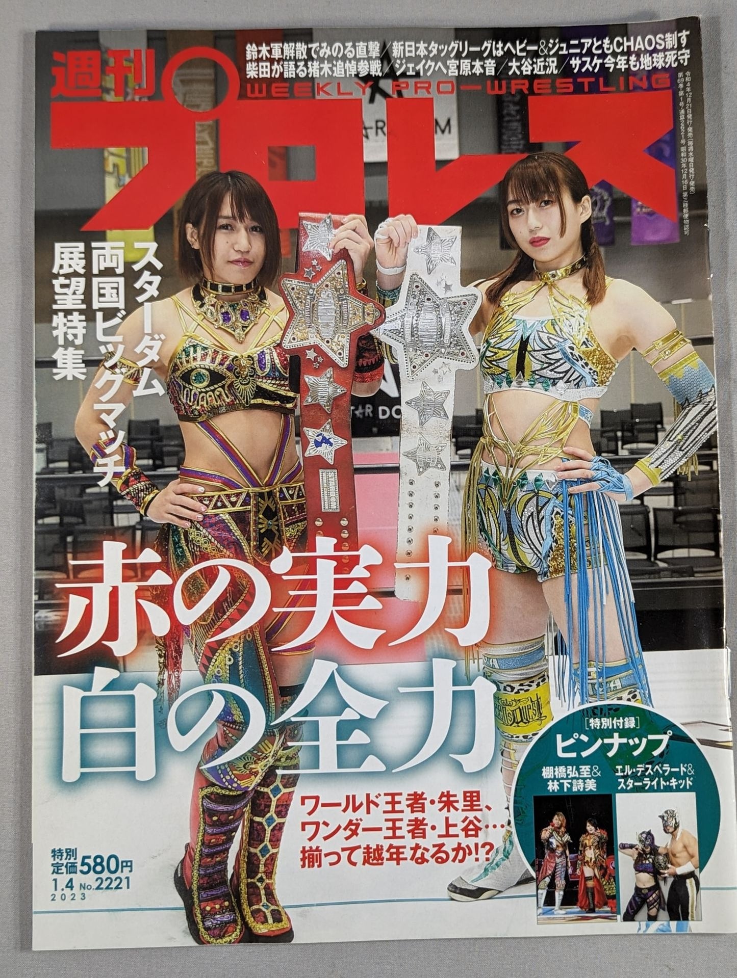 Weekly Pro Wrestling 2221