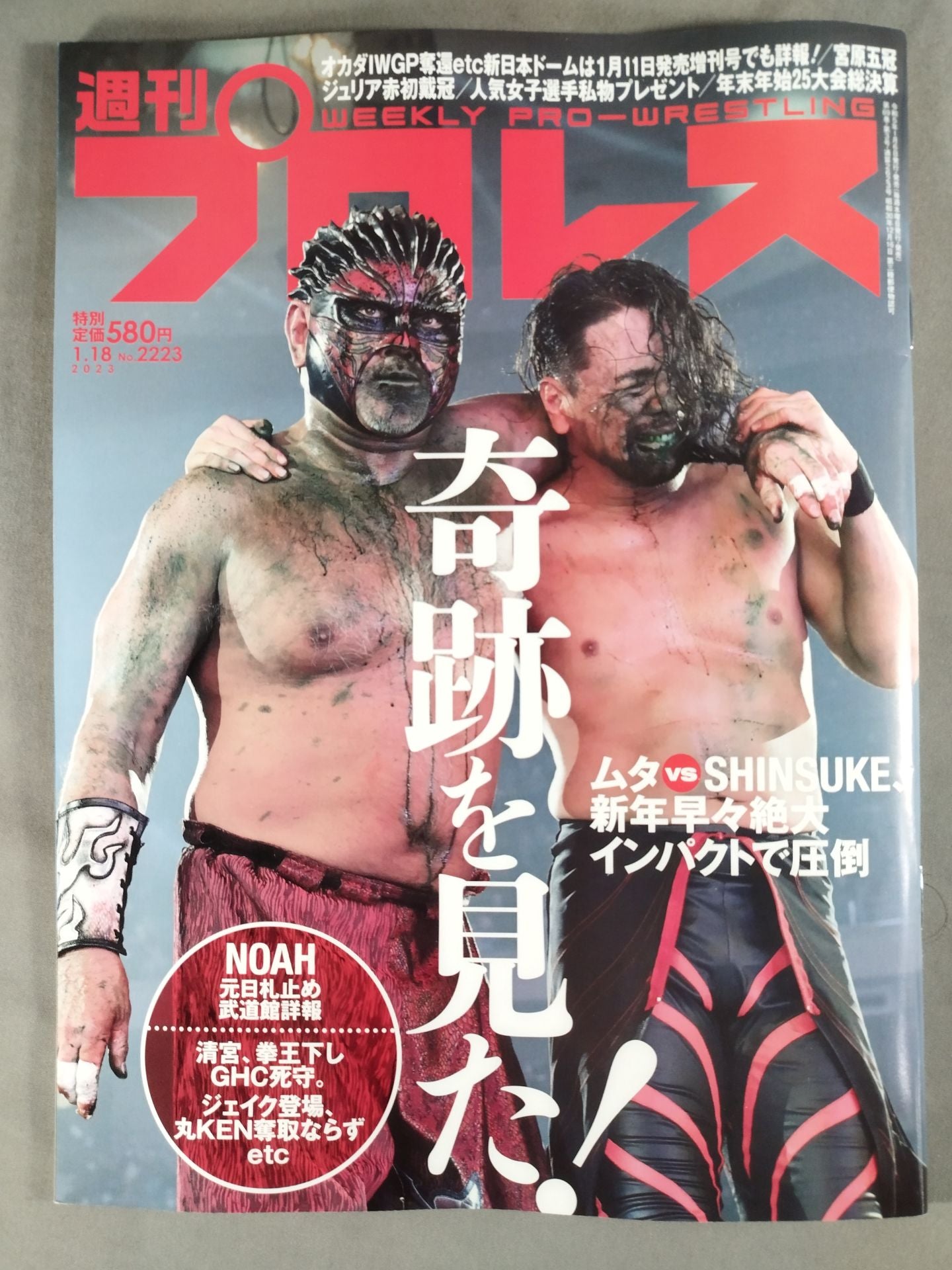 週刊プロレス2223 – 闘道館